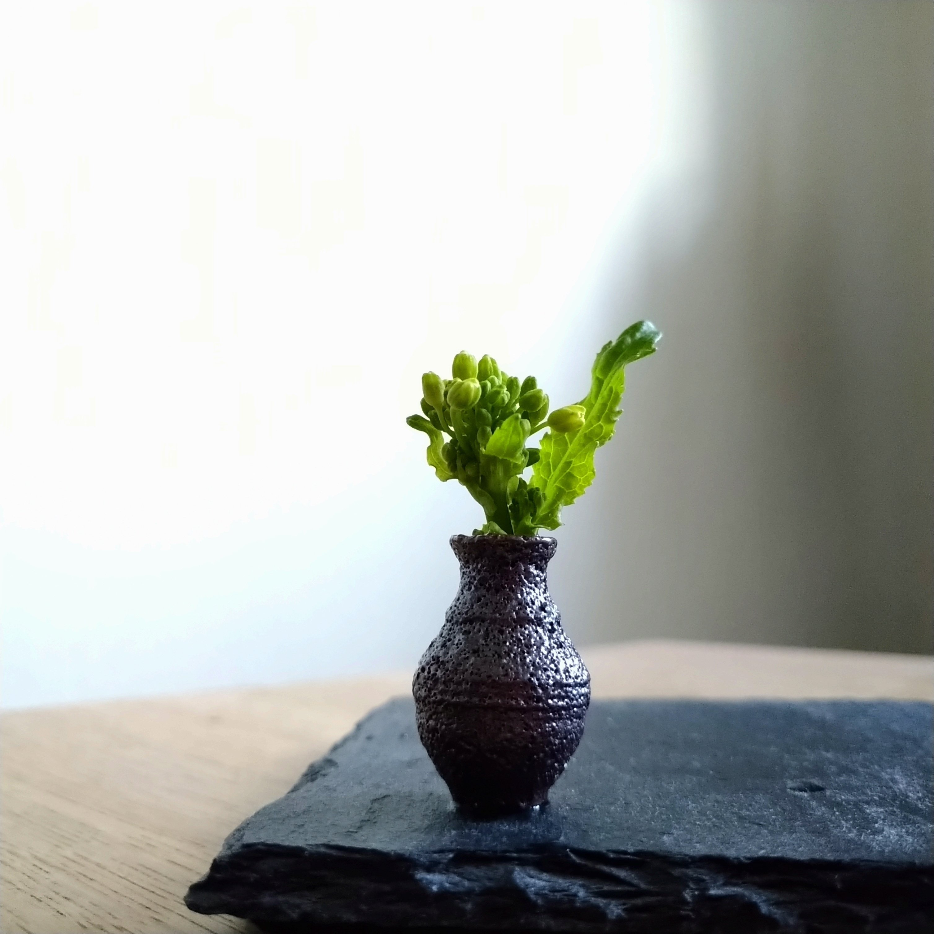 ミニチュア生け花の会・活動記録｜hiroko/灯月（あかつき）