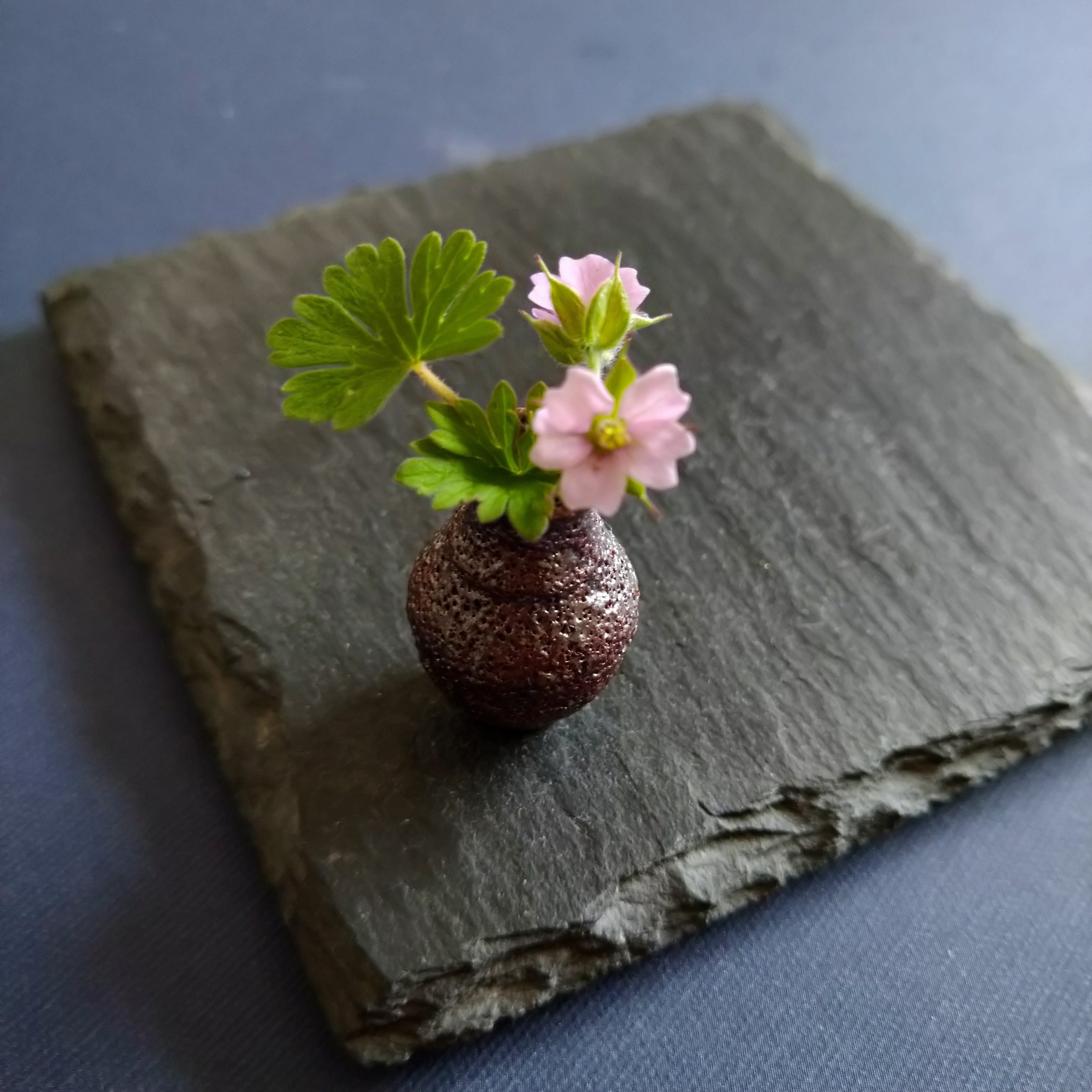 ミニチュア生け花の会・活動記録｜hiroko/灯月（あかつき）