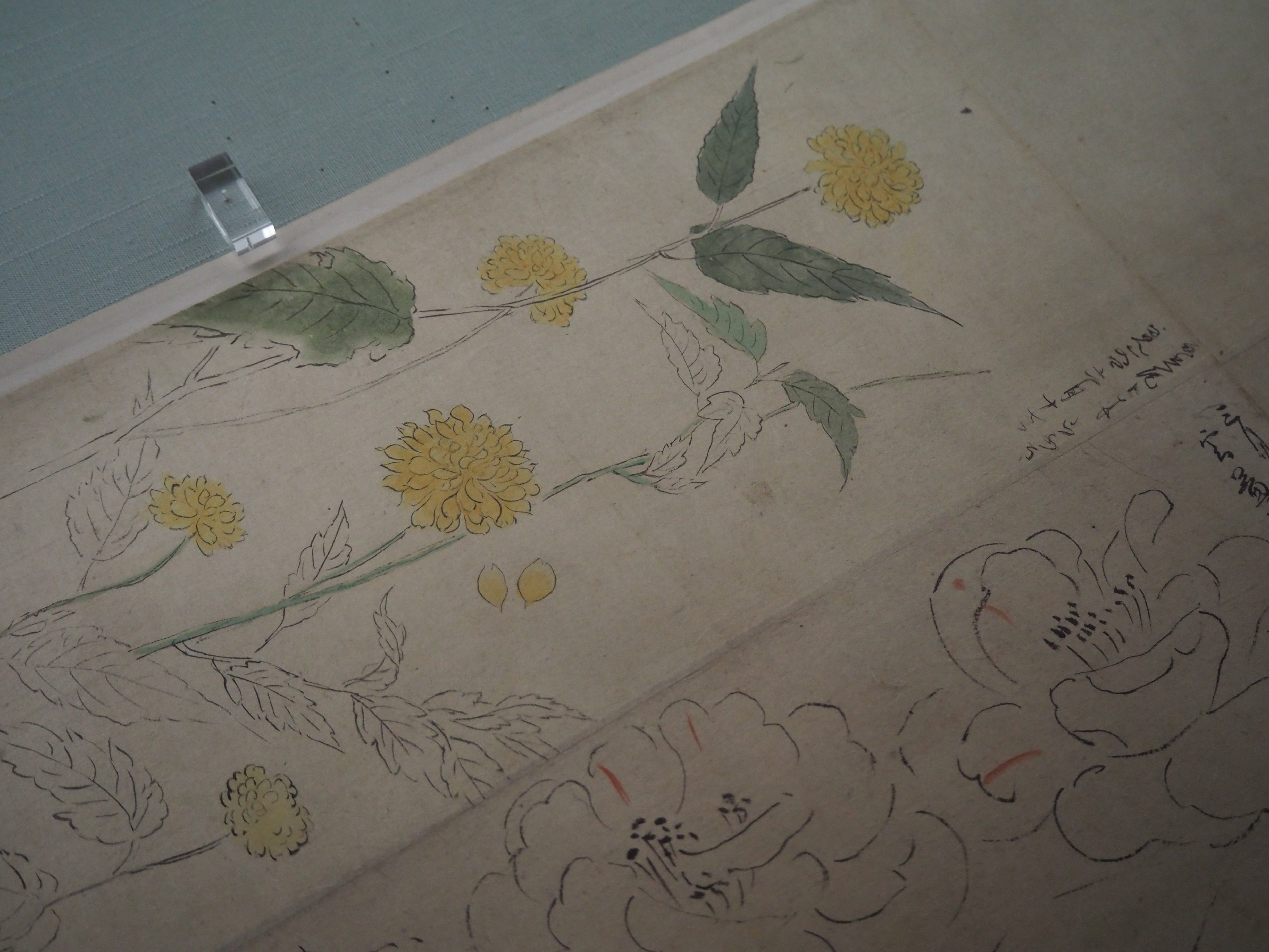 南国草花三壷スケッチ原画 南国草花三壷スケッチ原画 絵画