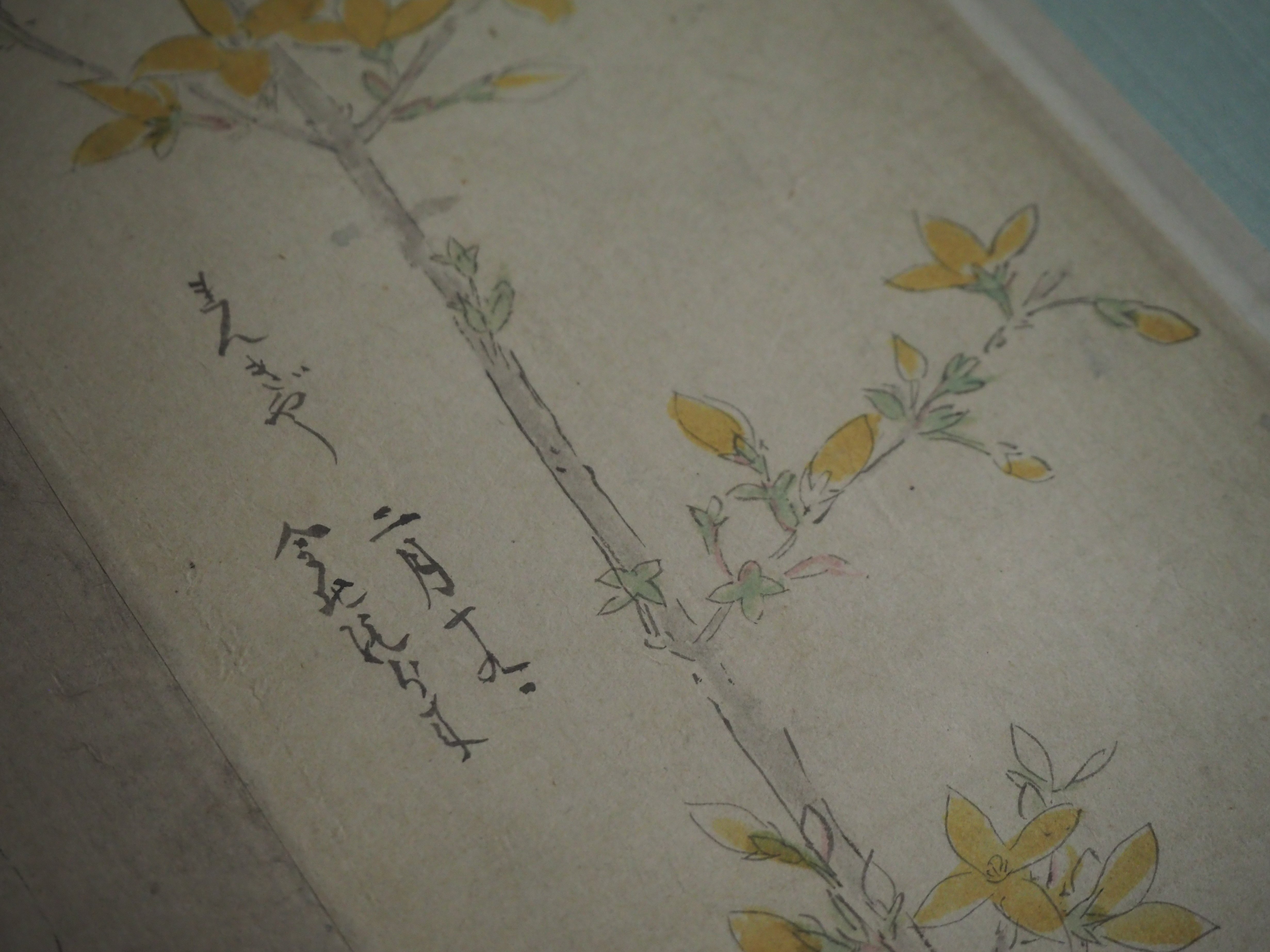 南国草花三壷スケッチ原画 南国草花三壷スケッチ原画 絵画
