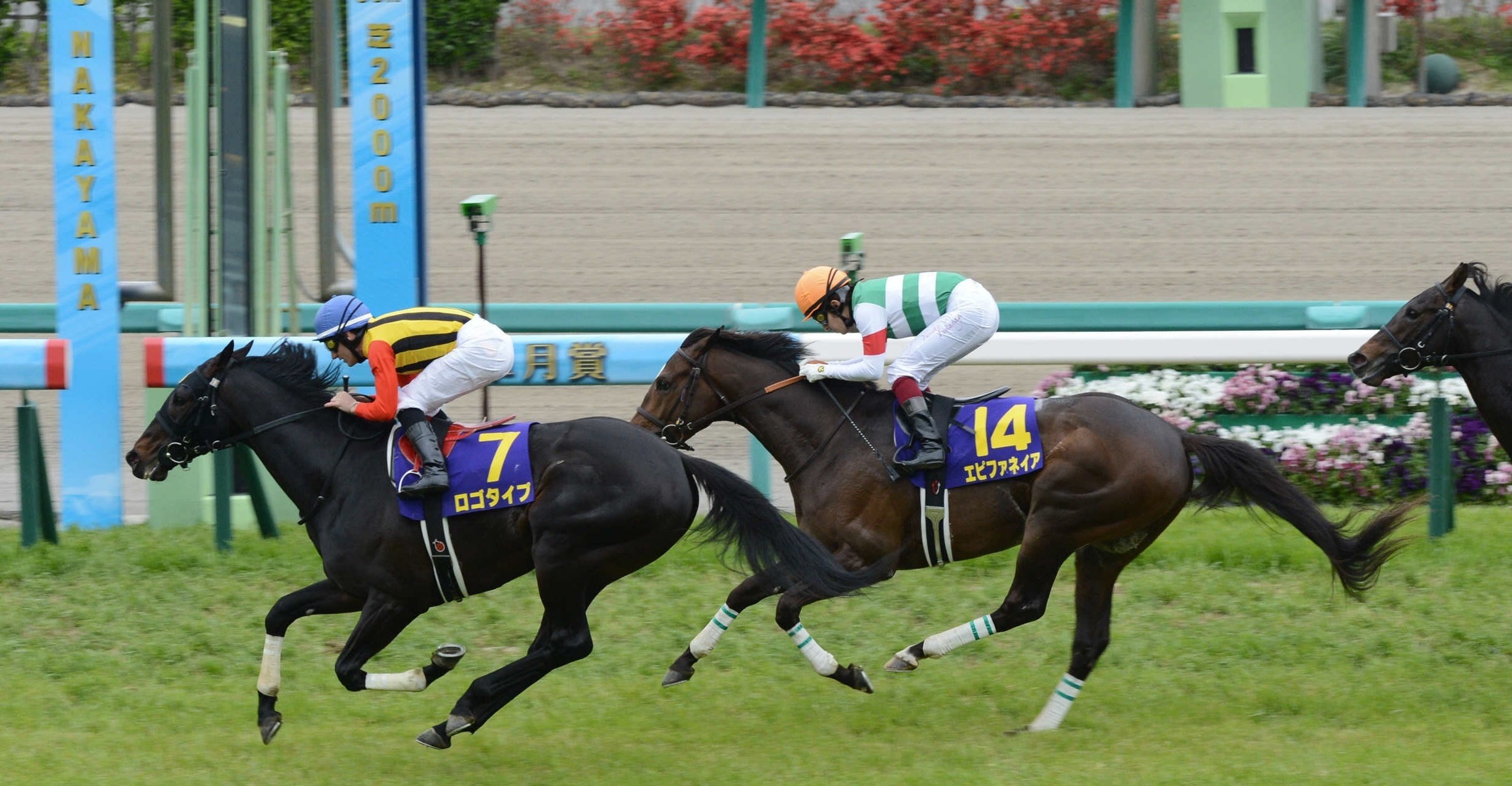 福永祐一ジョッキーと日本ダービー あのときの空気感を「東スポ 福永祐一ジョッキーと日本ダービー あのときの空気感を「東スポ