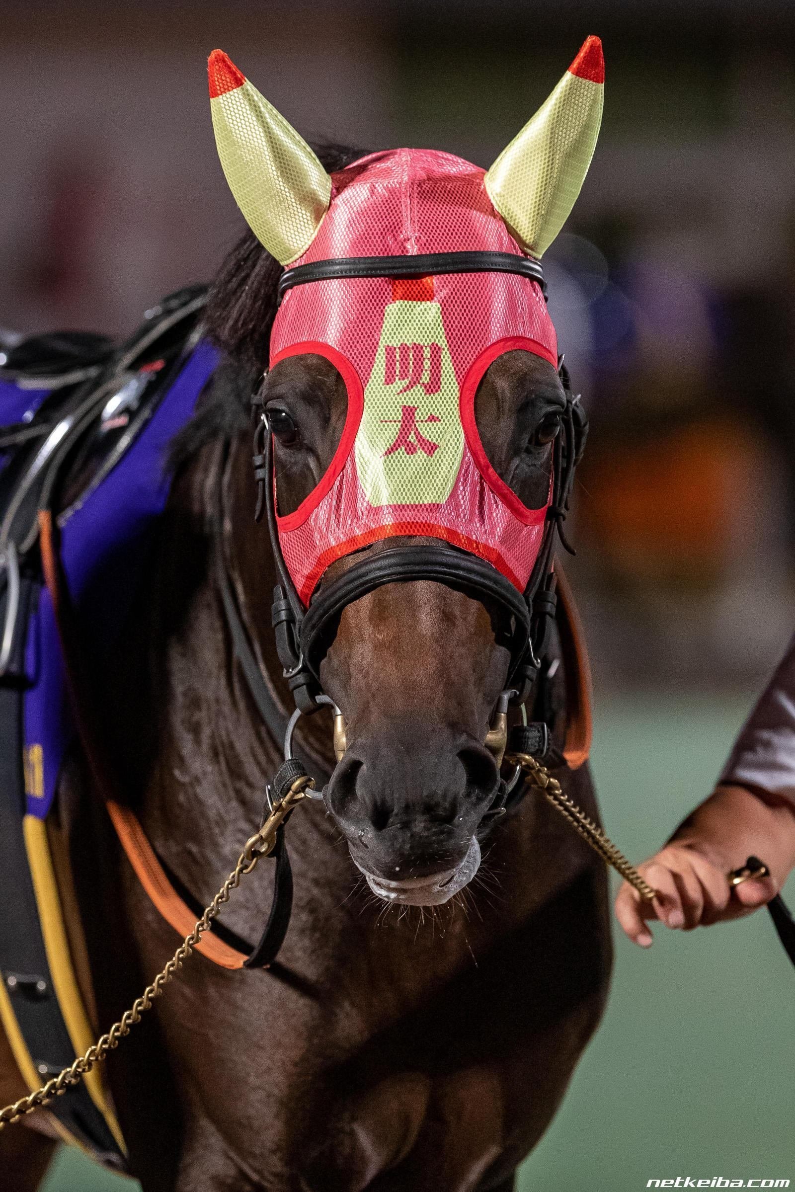 Amazon.co.jp: JRA 競馬 メンコ マウス 品 : おもちゃ