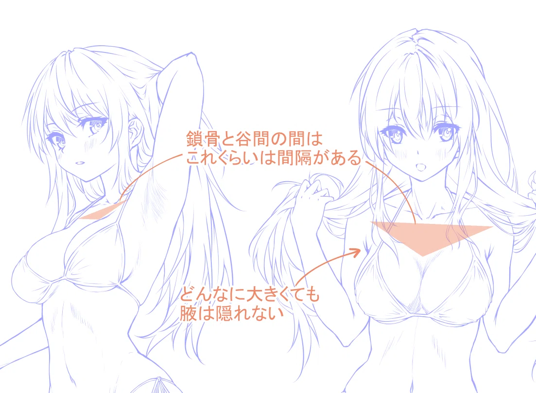 【おっぱい描けるようになろうぜ】人の目を釘付けにする …