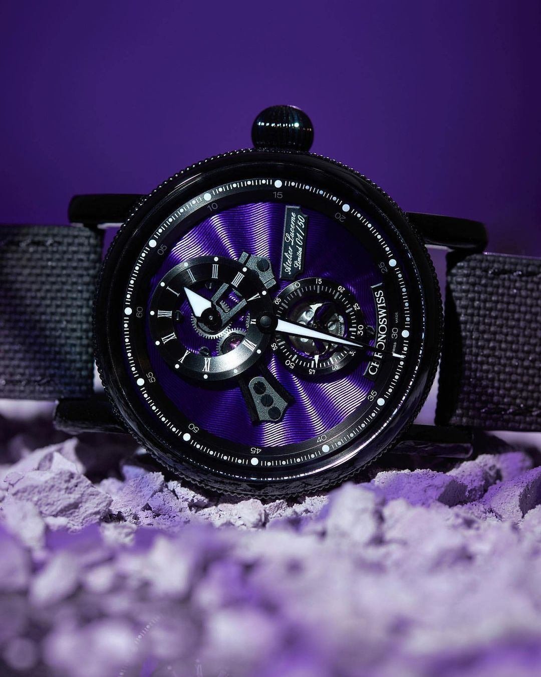 フライングレギュレーター オープンギア パープルパンサー CH-8755.1