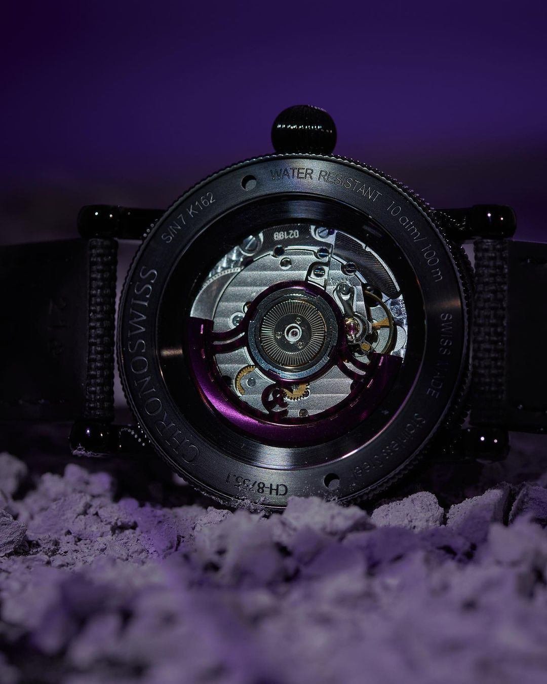 フライングレギュレーター オープンギア パープルパンサー CH-8755.1