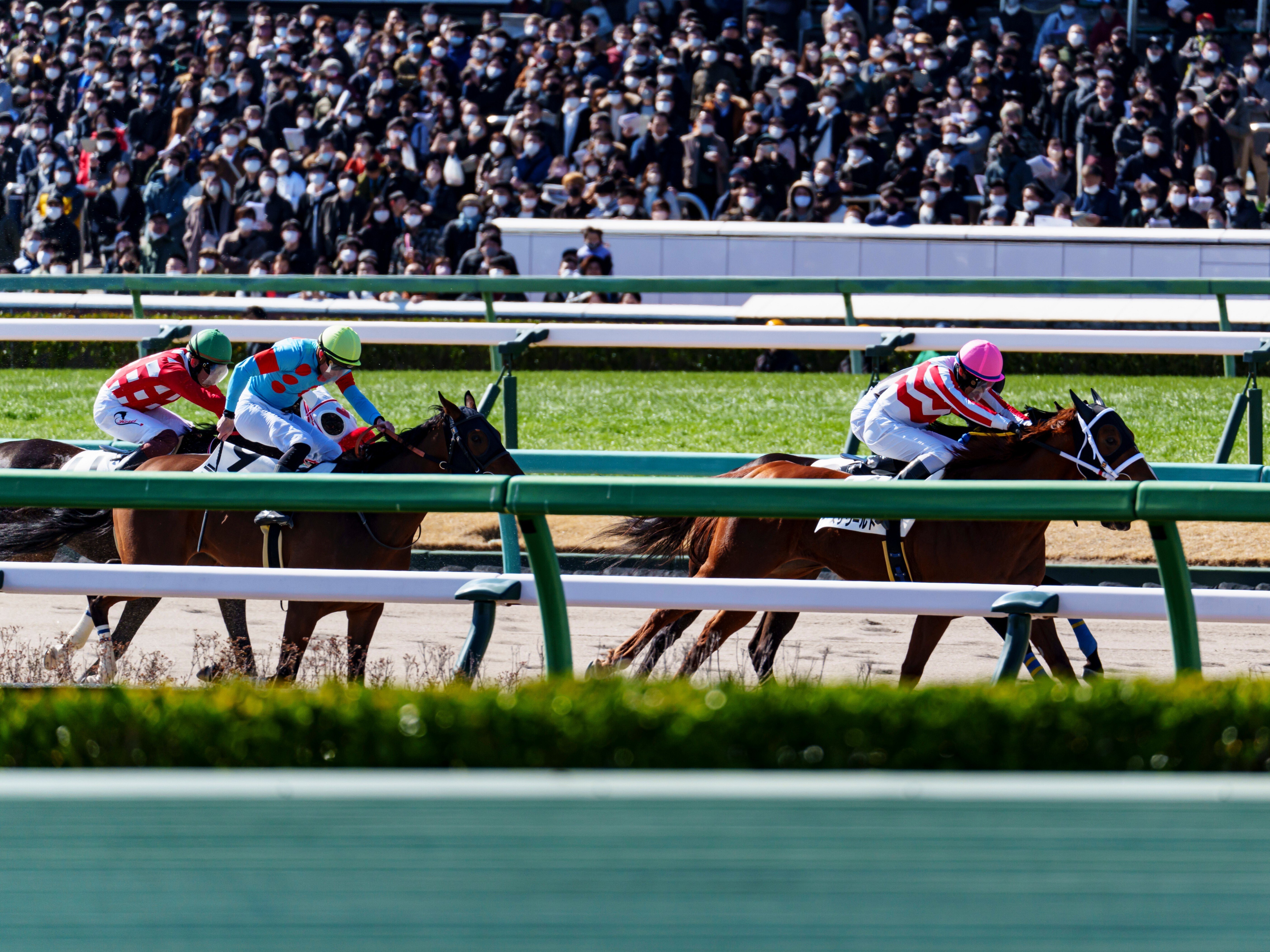 競馬撮影について ｜しばちゃん🕊