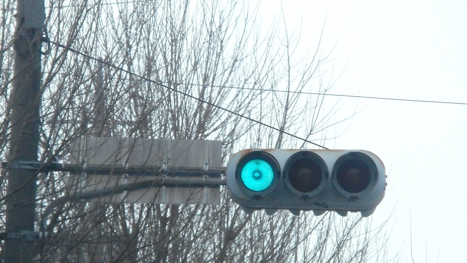 館林市松原にある筒型フードの小糸S型格子レンズ250㎜｜光山祐弥の