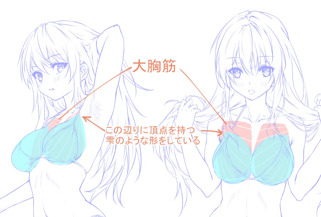 【おっぱい描けるようになろうぜ】人の目を釘付けにする巨乳を描く5ステ…