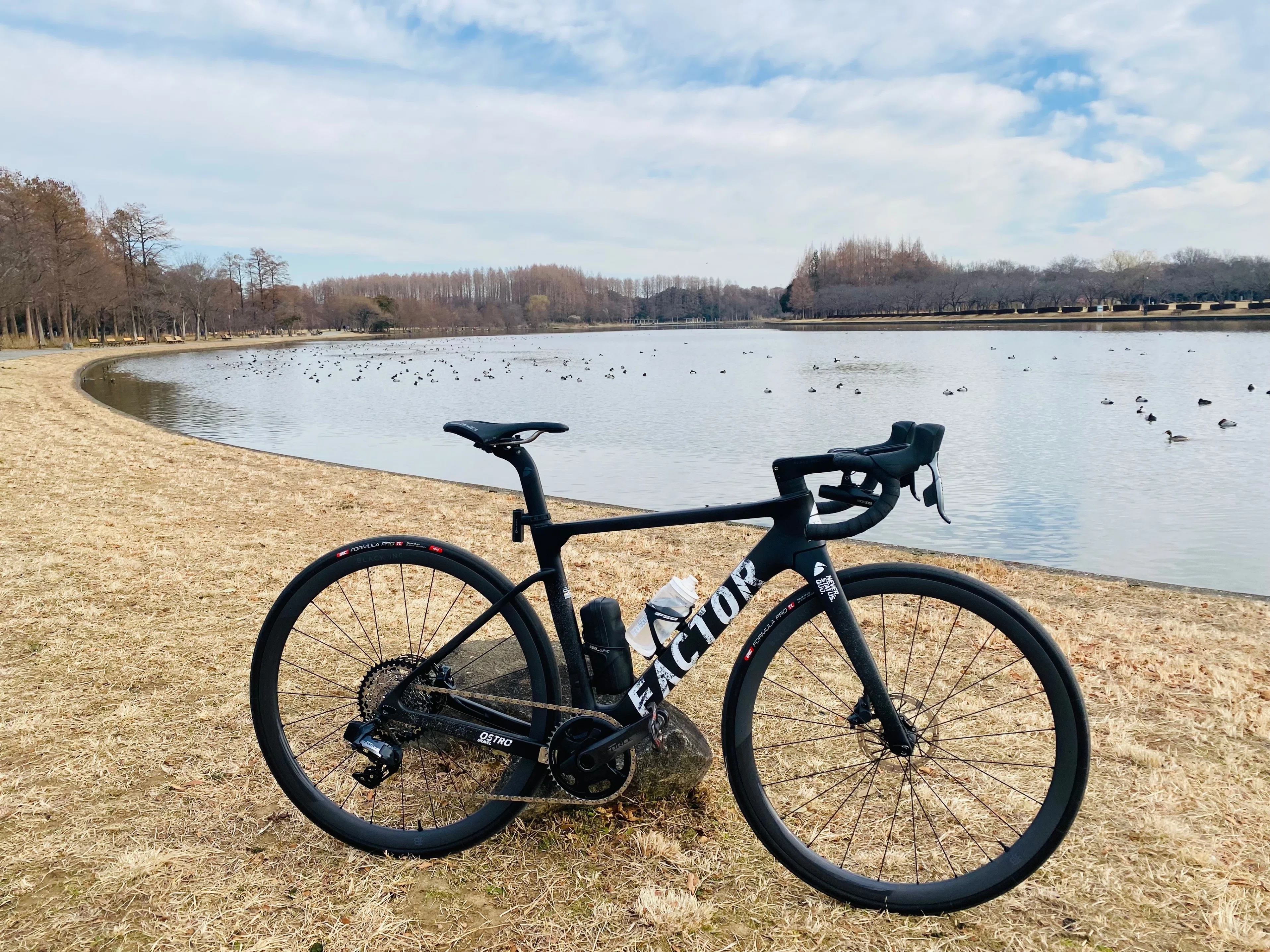 Newバイクで河津桜ポタリング65km｜西川正治