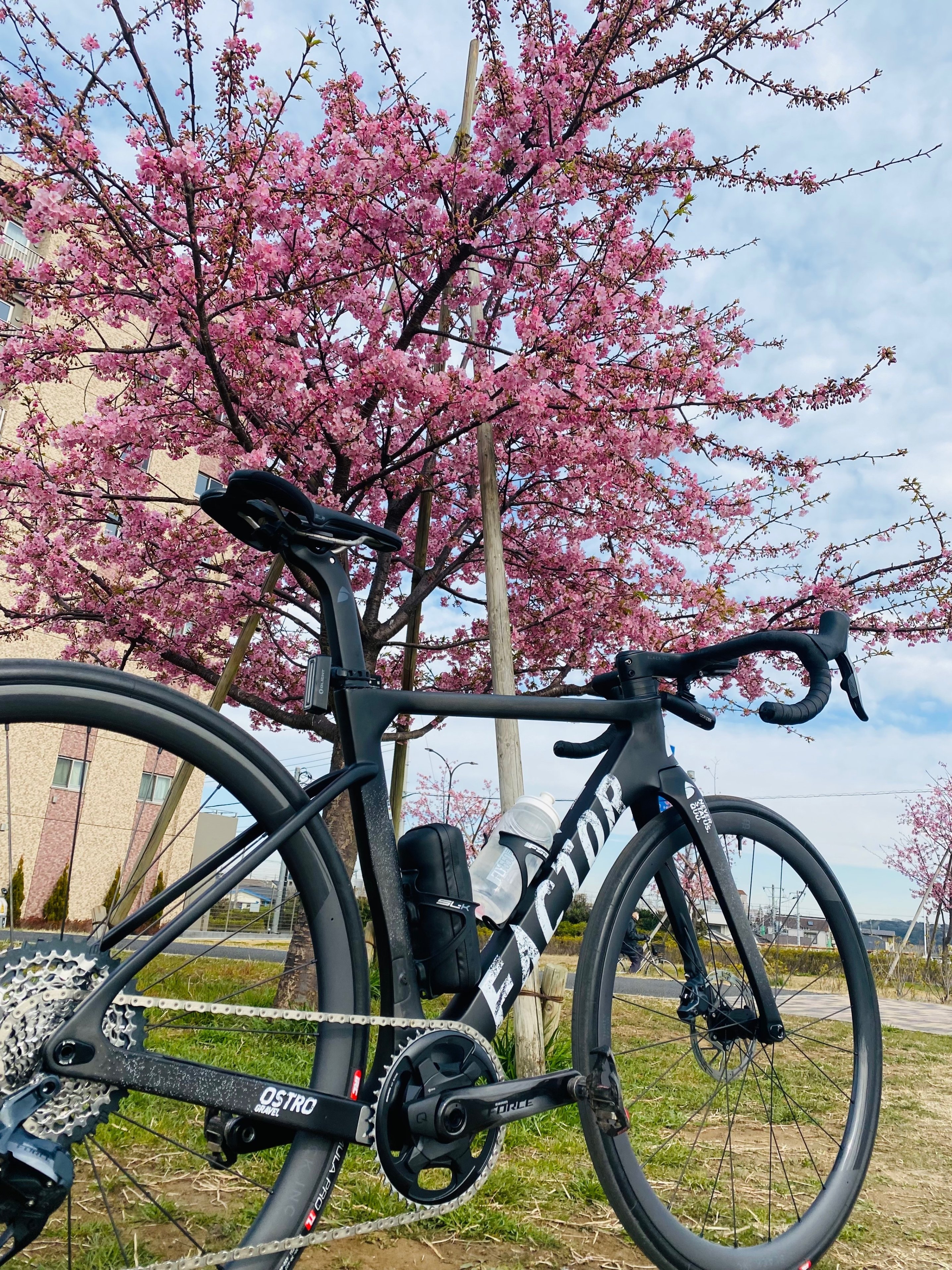 Newバイクで河津桜ポタリング65km｜西川正治