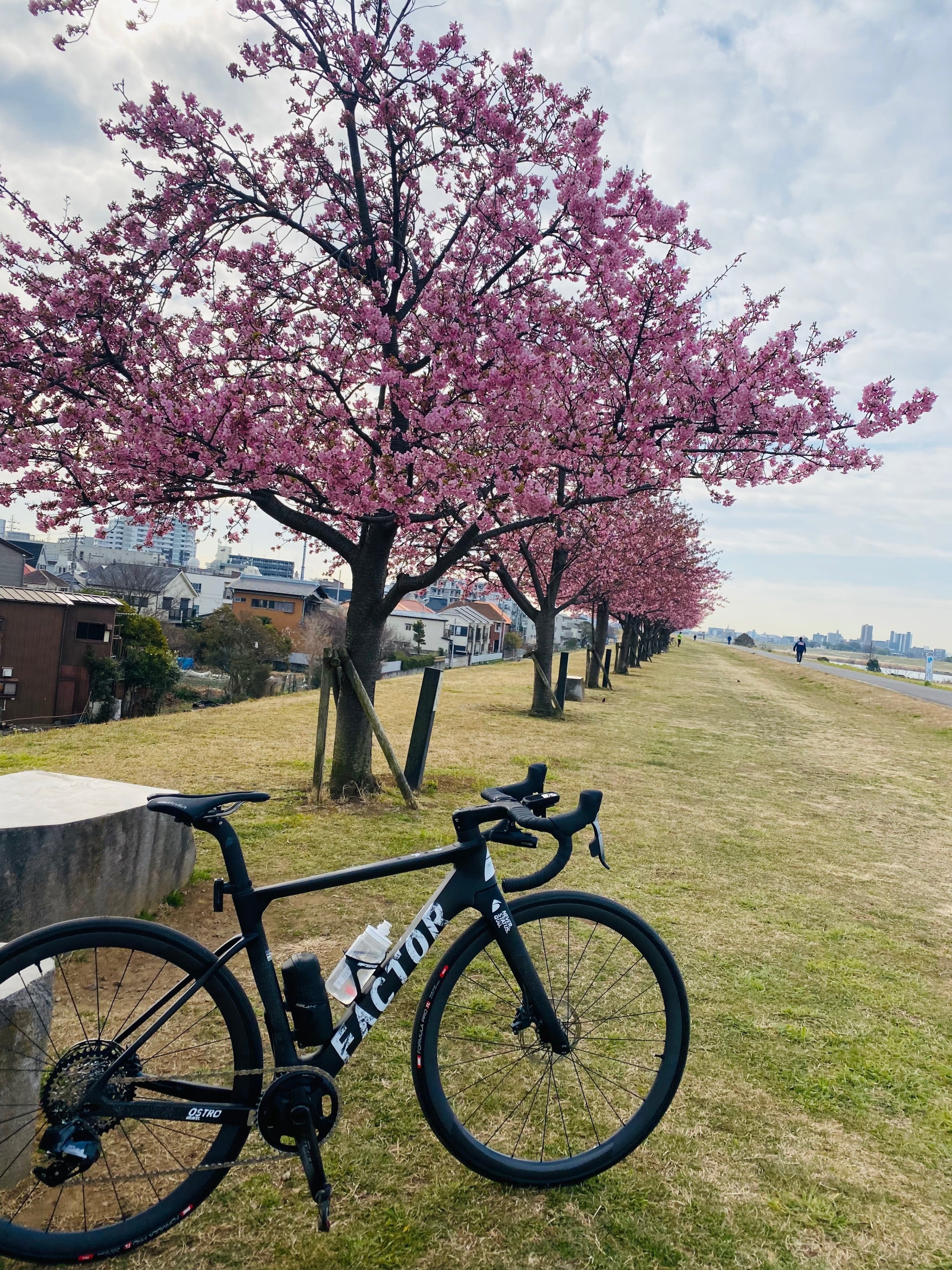 Newバイクで河津桜ポタリング65km｜西川正治