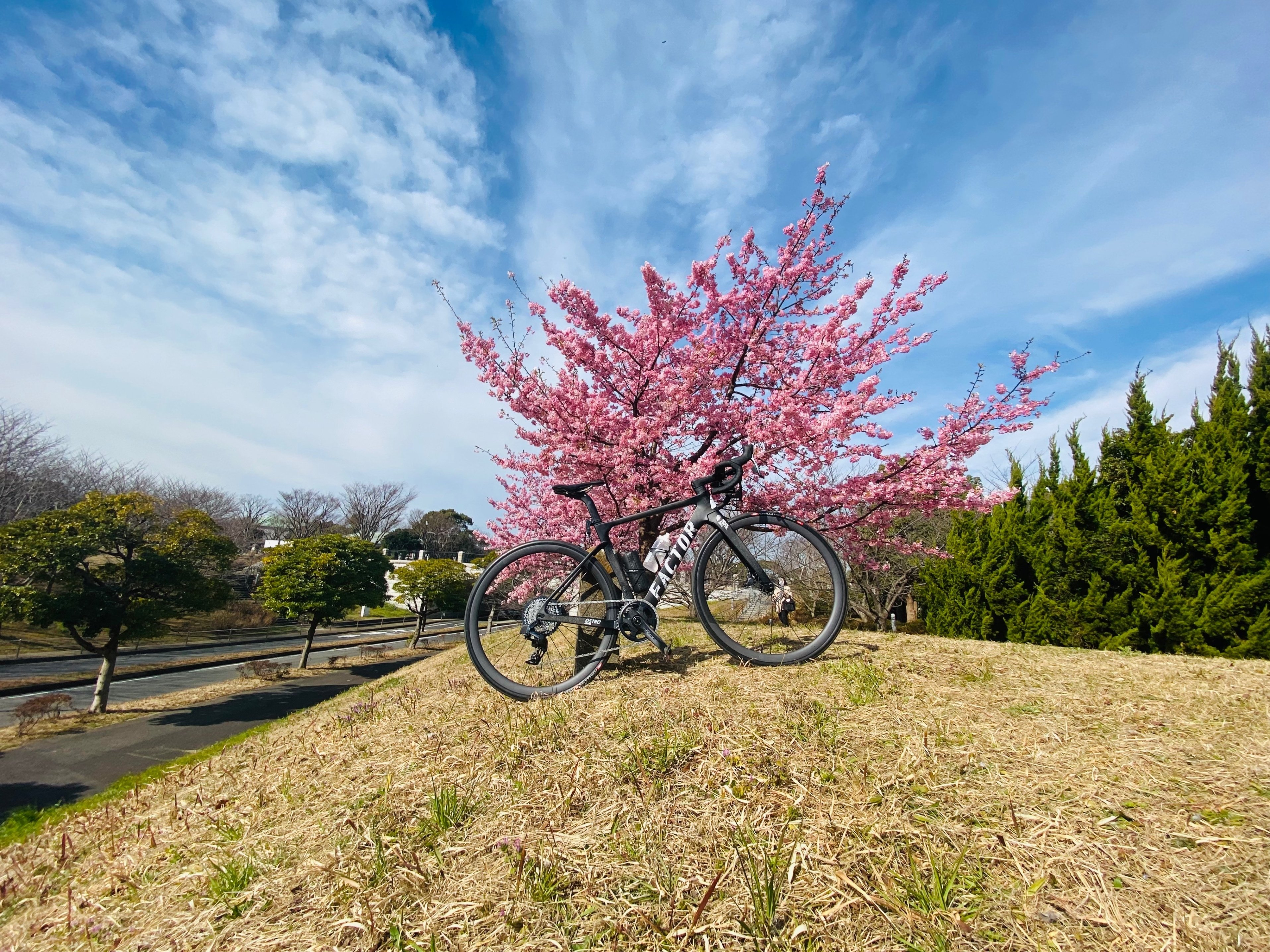 Newバイクで河津桜ポタリング65km｜西川正治
