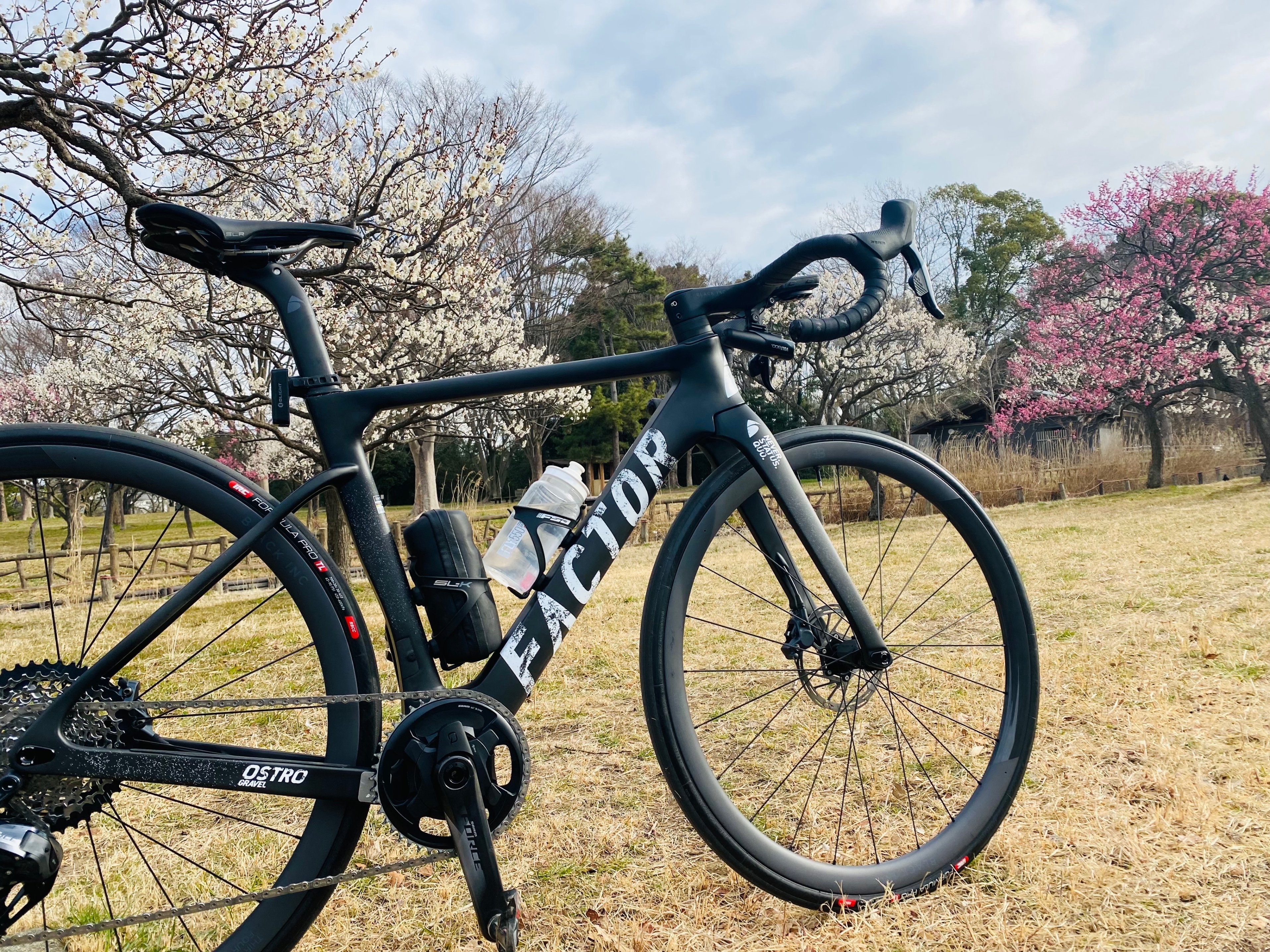 Newバイクで河津桜ポタリング65km｜西川正治