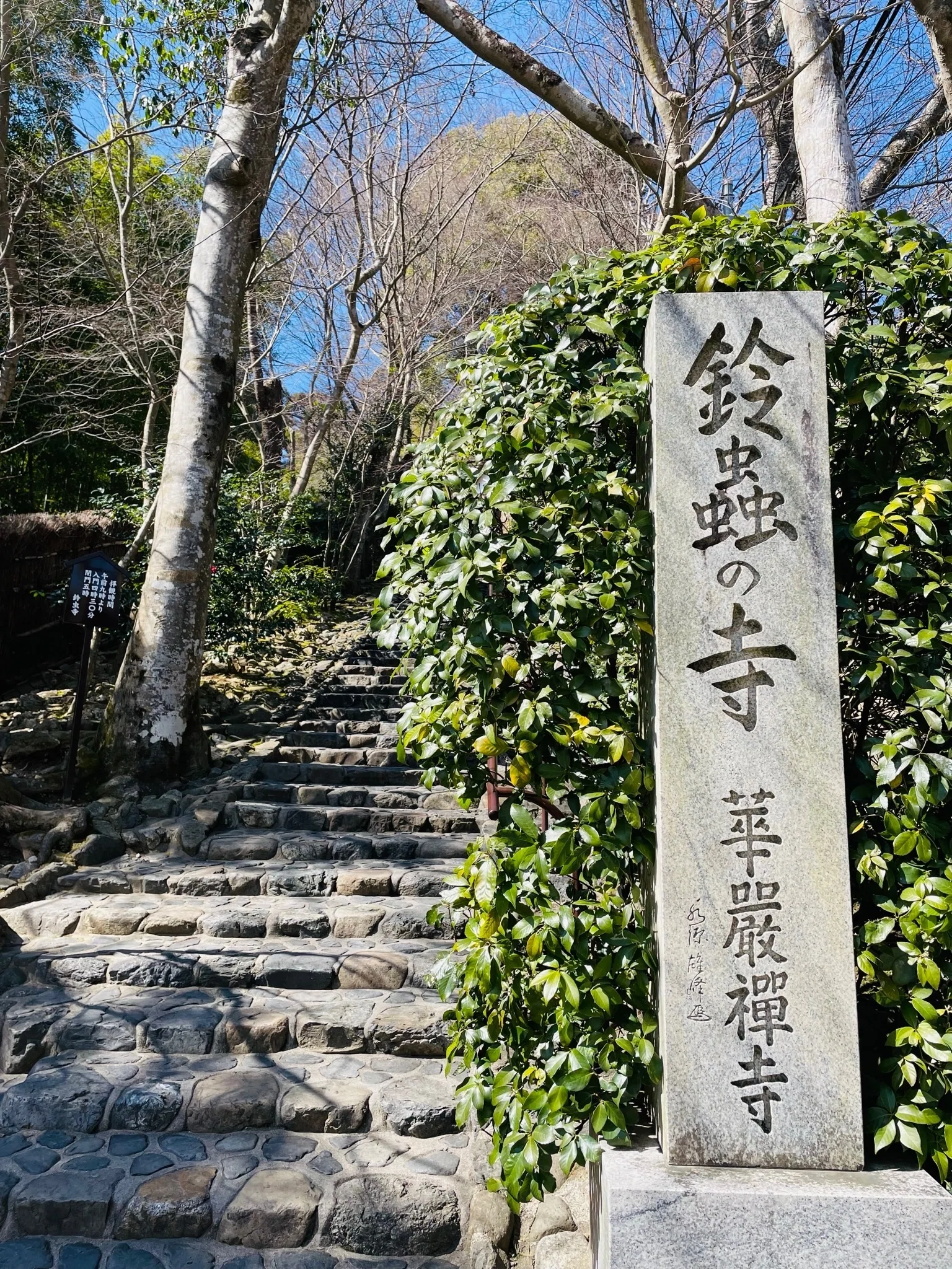 早春の京都で静寂を味わう〜西芳寺「冬の参拝」から鈴虫寺、松尾大社
