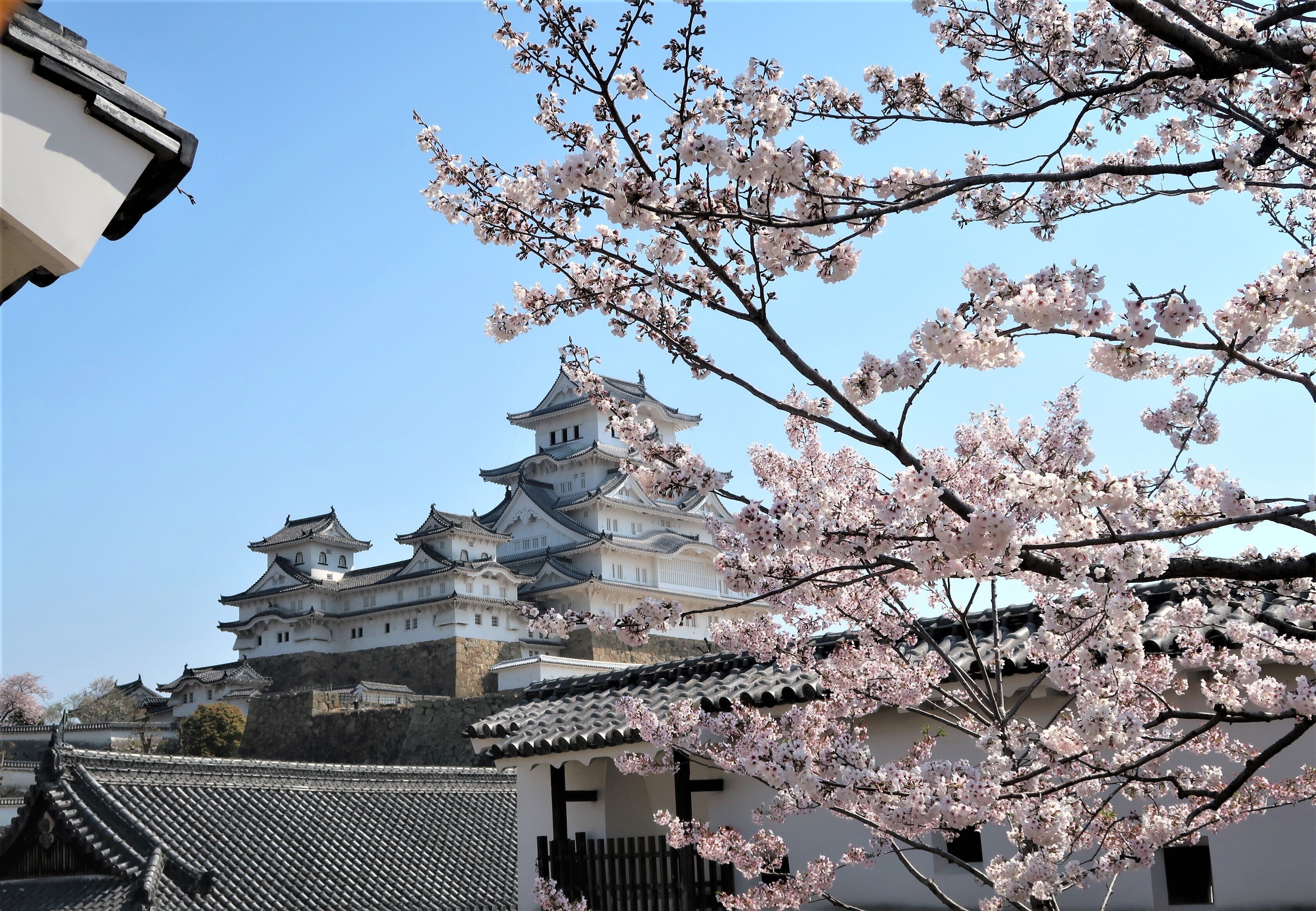 姫路城　古材　骨董　Himeji castle 姫路城古材骨董Himeji castle
