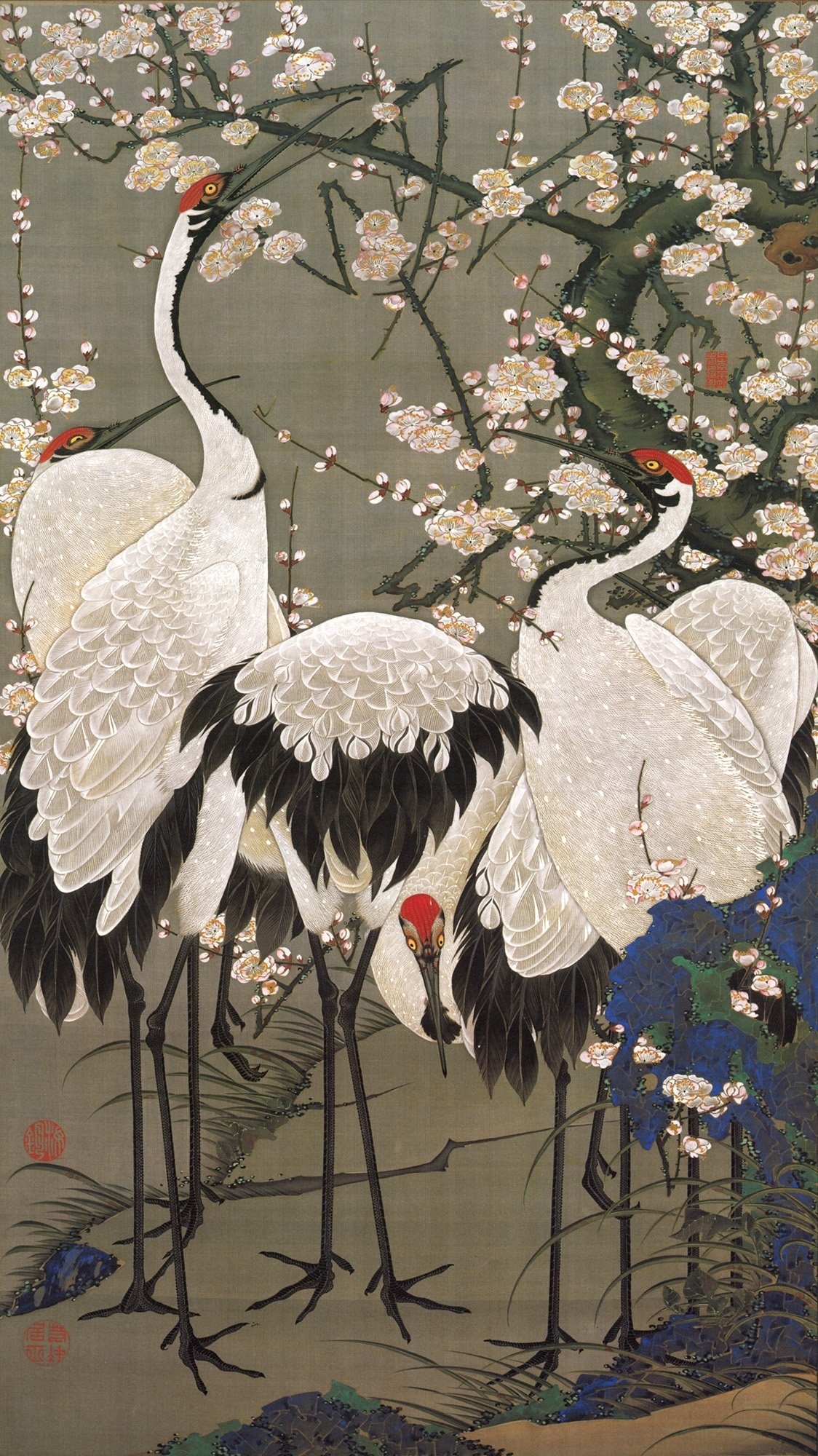 伊藤麻沙人　黒釉梅絵壺　共箱　高さ約22.5㎝　東Y7-0804① 楽天市場】新夏蜜柑酎 うめえら！ 300ml ニューサマーオレンジ酎 柑橘