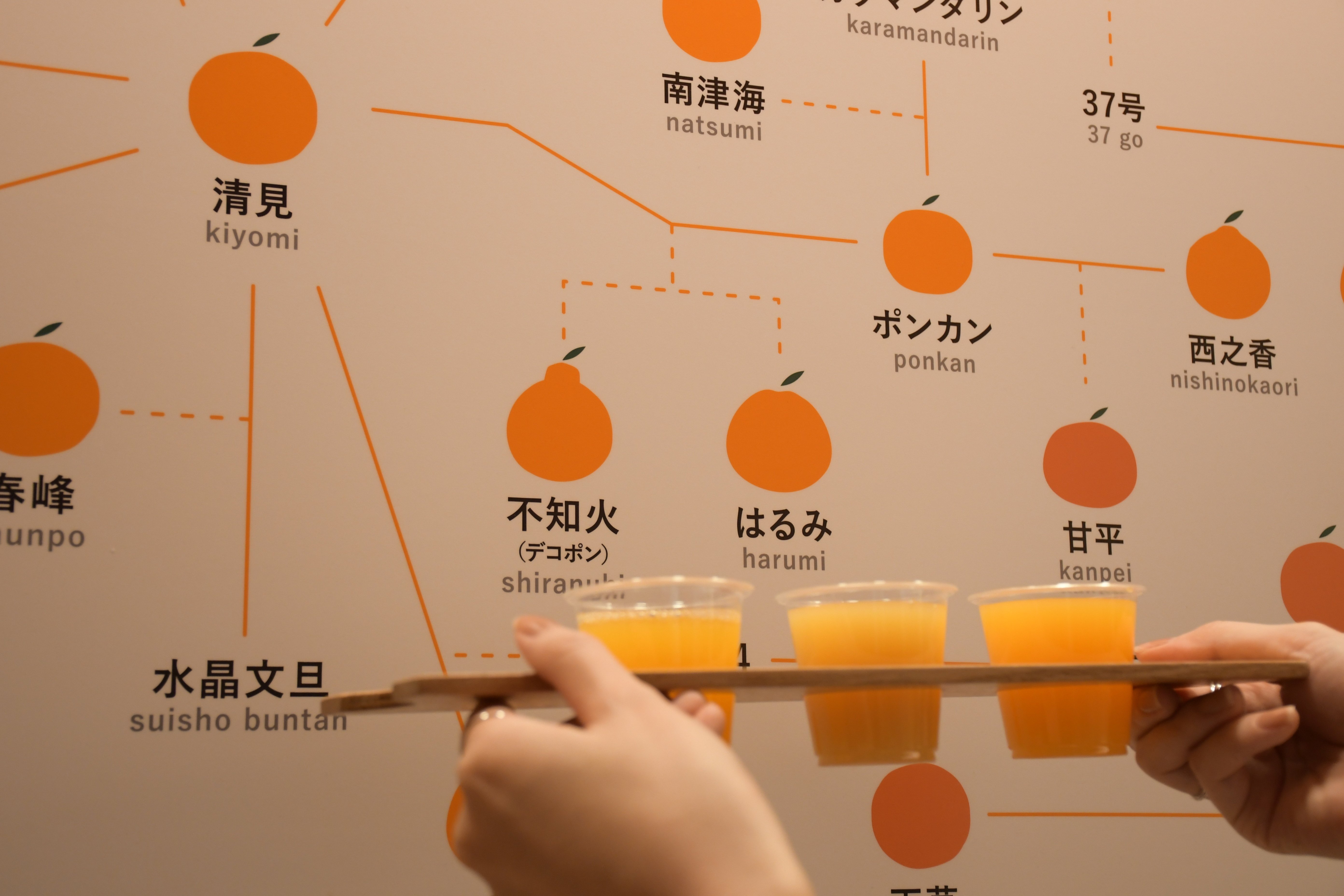 03 彩るタオルに味わうミカン。道後の「らしさ」がここにある｜幸せに