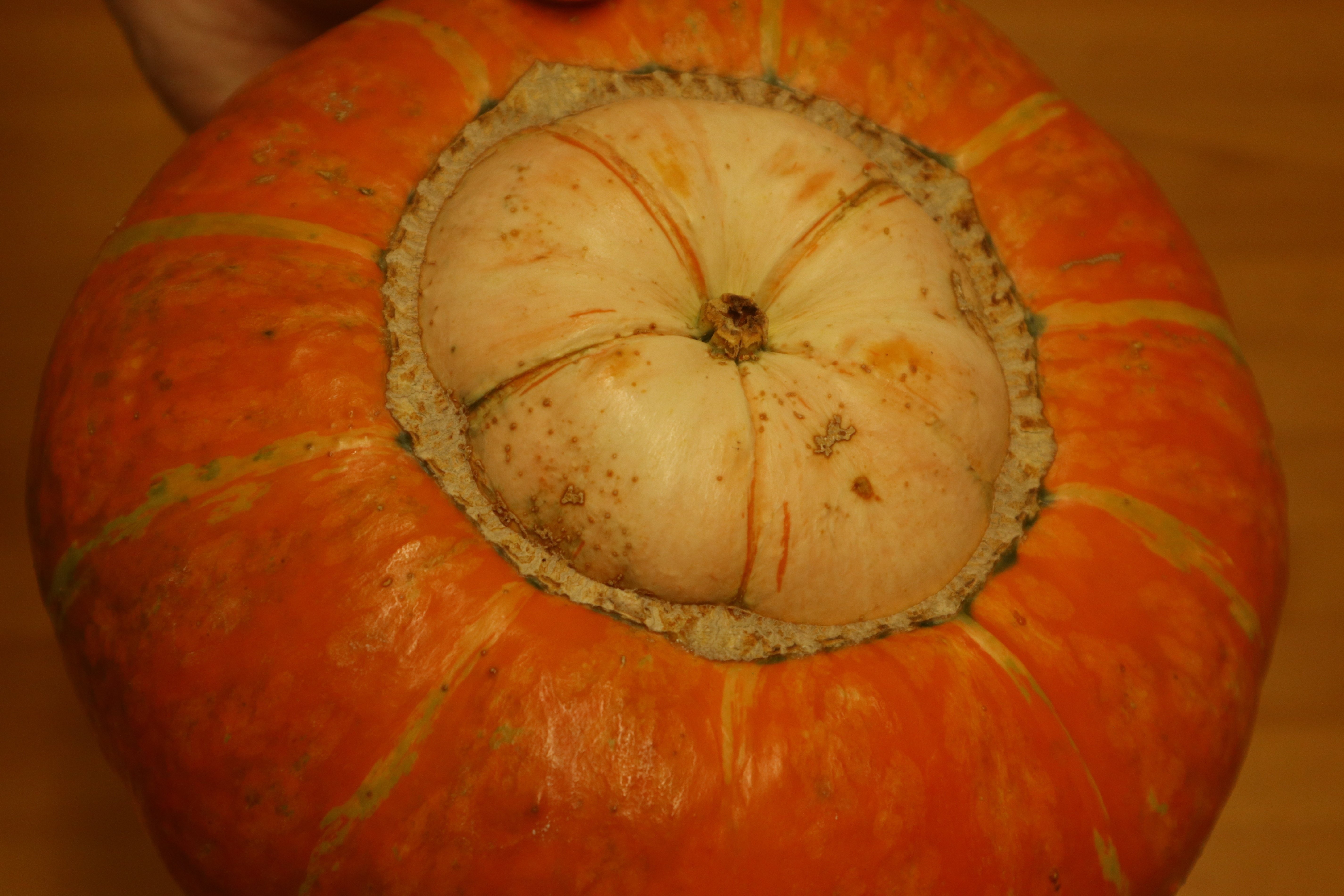 たべたび。05：只見線にて出会う、へそありカボチャの『奥会津金山赤