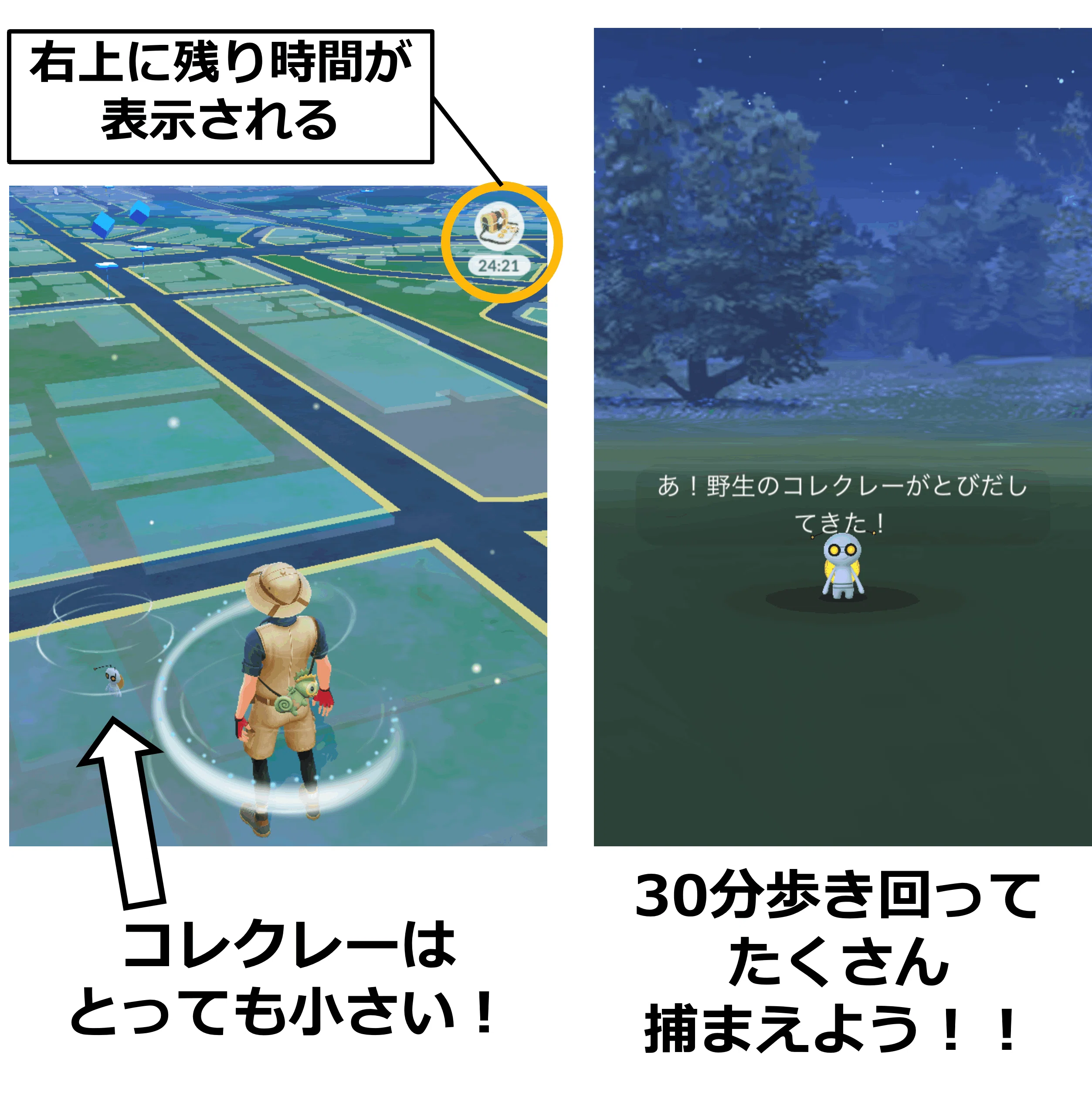 超初級者向け】ポケモンGOの始め方②ビビヨンとコレクレーを捕まえよう