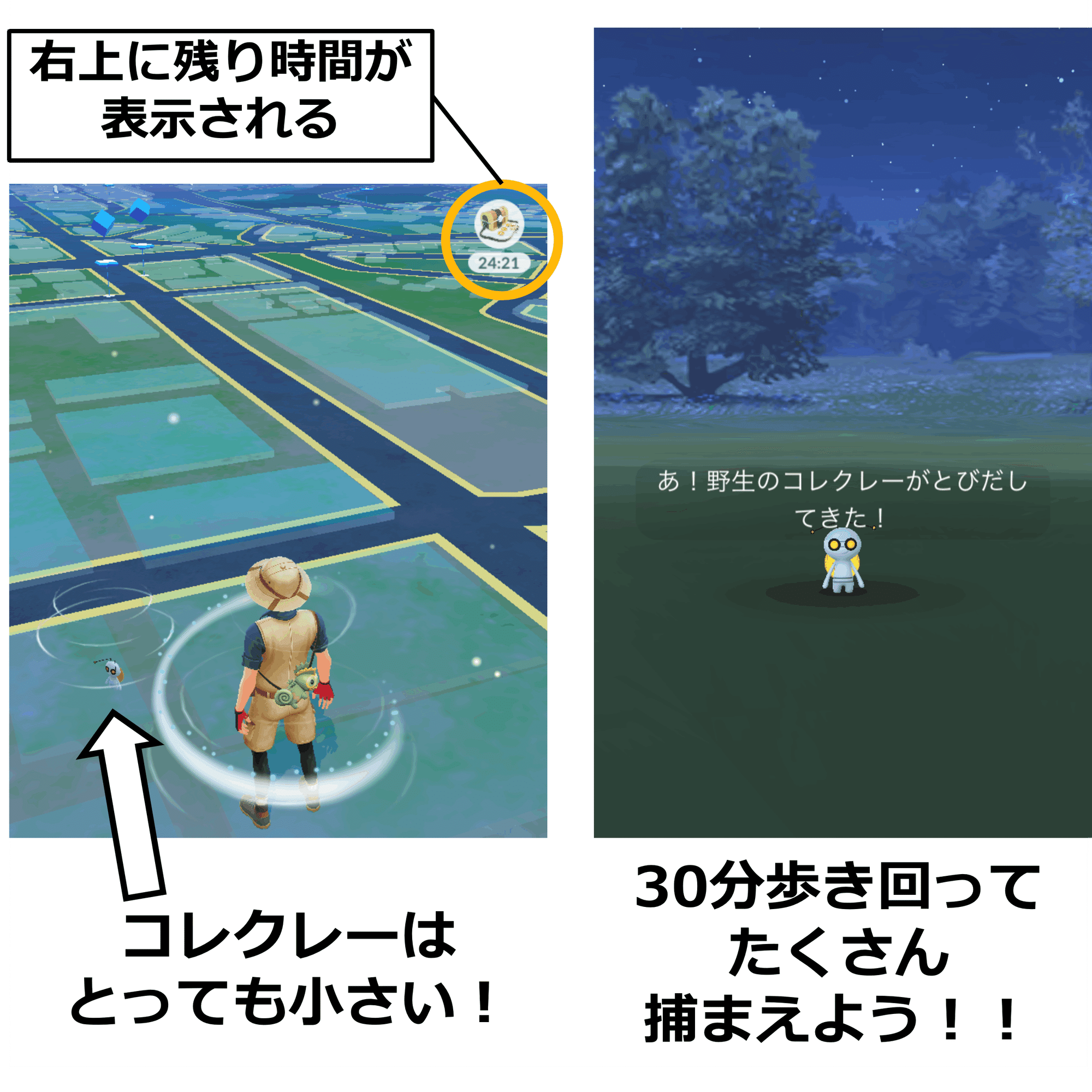 超初級者向け】ポケモンGOの始め方②ビビヨンとコレクレーを捕まえよう！｜螺屋なぎ