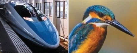 第2410回 鳥からのプレゼント｜翆野 大地