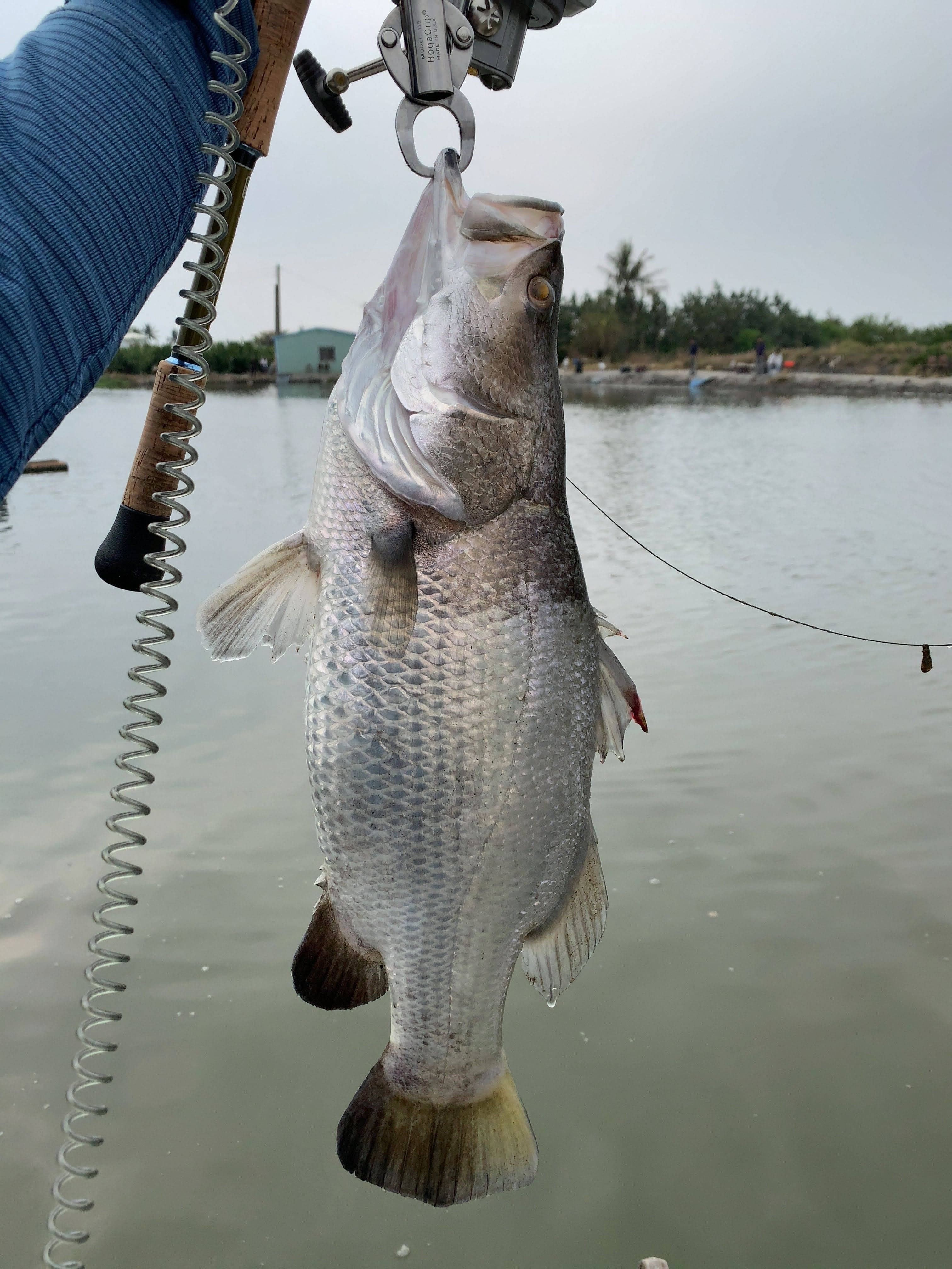製造終了から20年の時を越えた今こそ、アブガルシア最後のスウェーデン