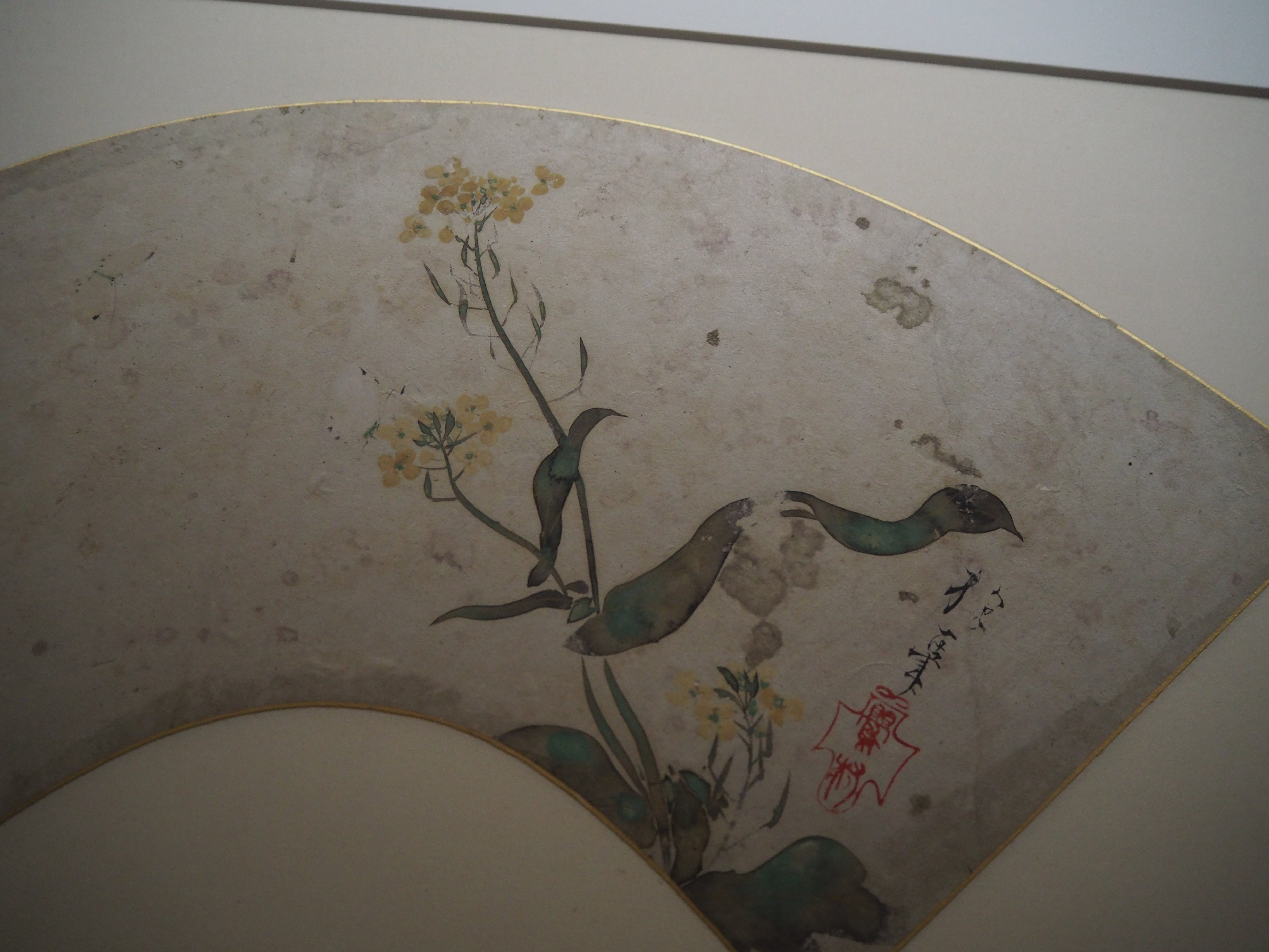 琳派の描いた草花が、トーハクで満開でした@東京国立博物館