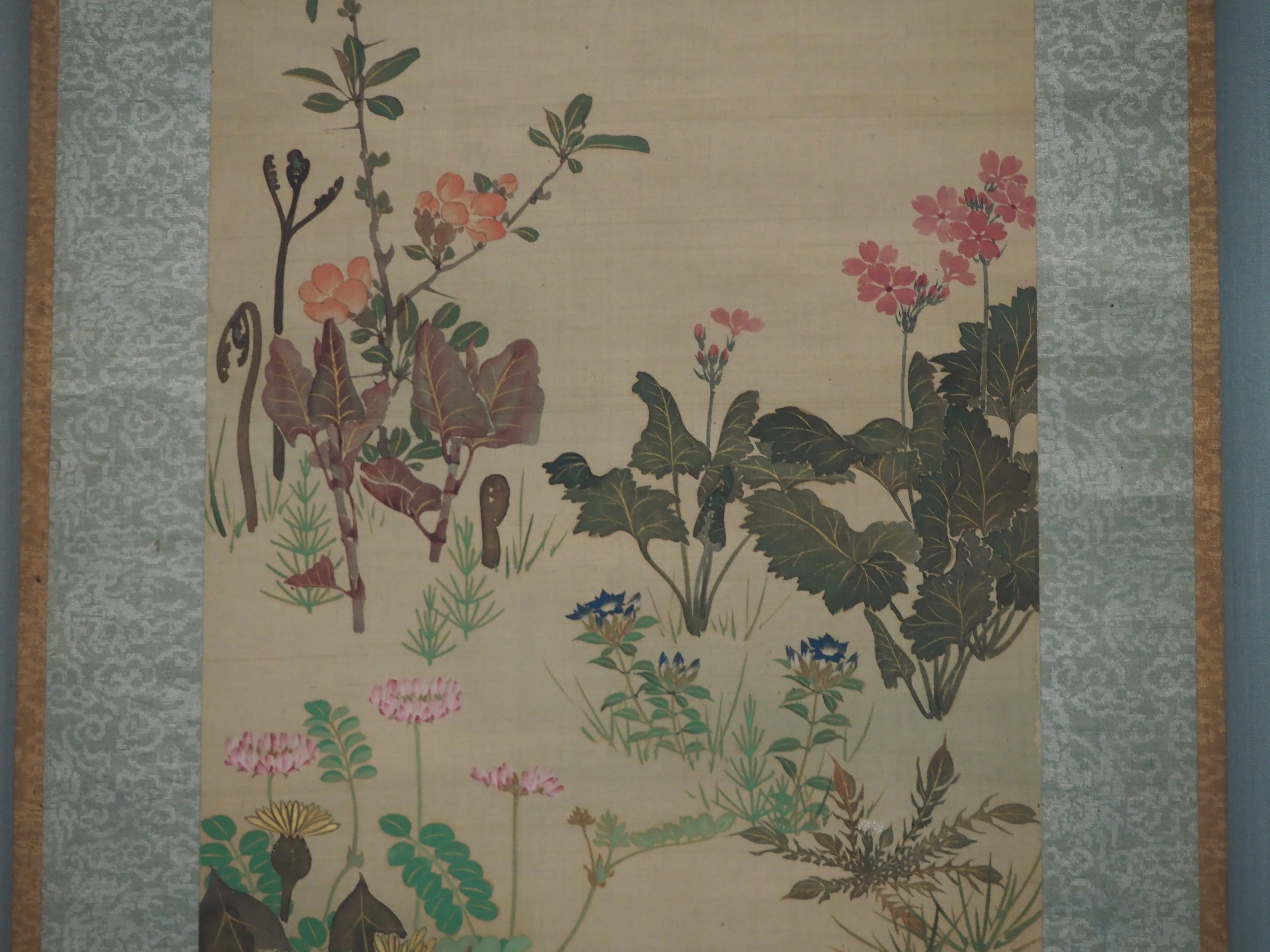 琳派の描いた草花が、トーハクで満開でした@東京国立博物館｜かわかわ