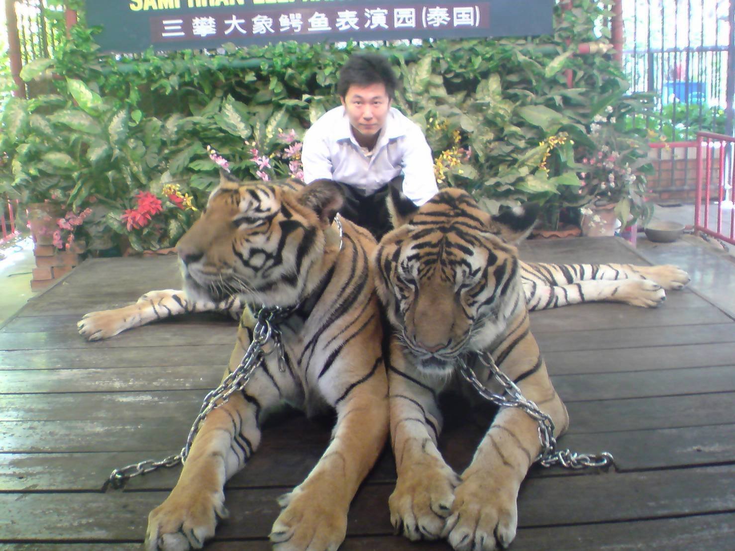 Welcome to 村上研究室！–TID 東京情報デザイン専門職大学