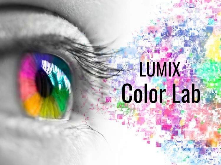 【LUMIX Ability】リアルタイムLUTの使い方を解説！｜LUMIX Magazine