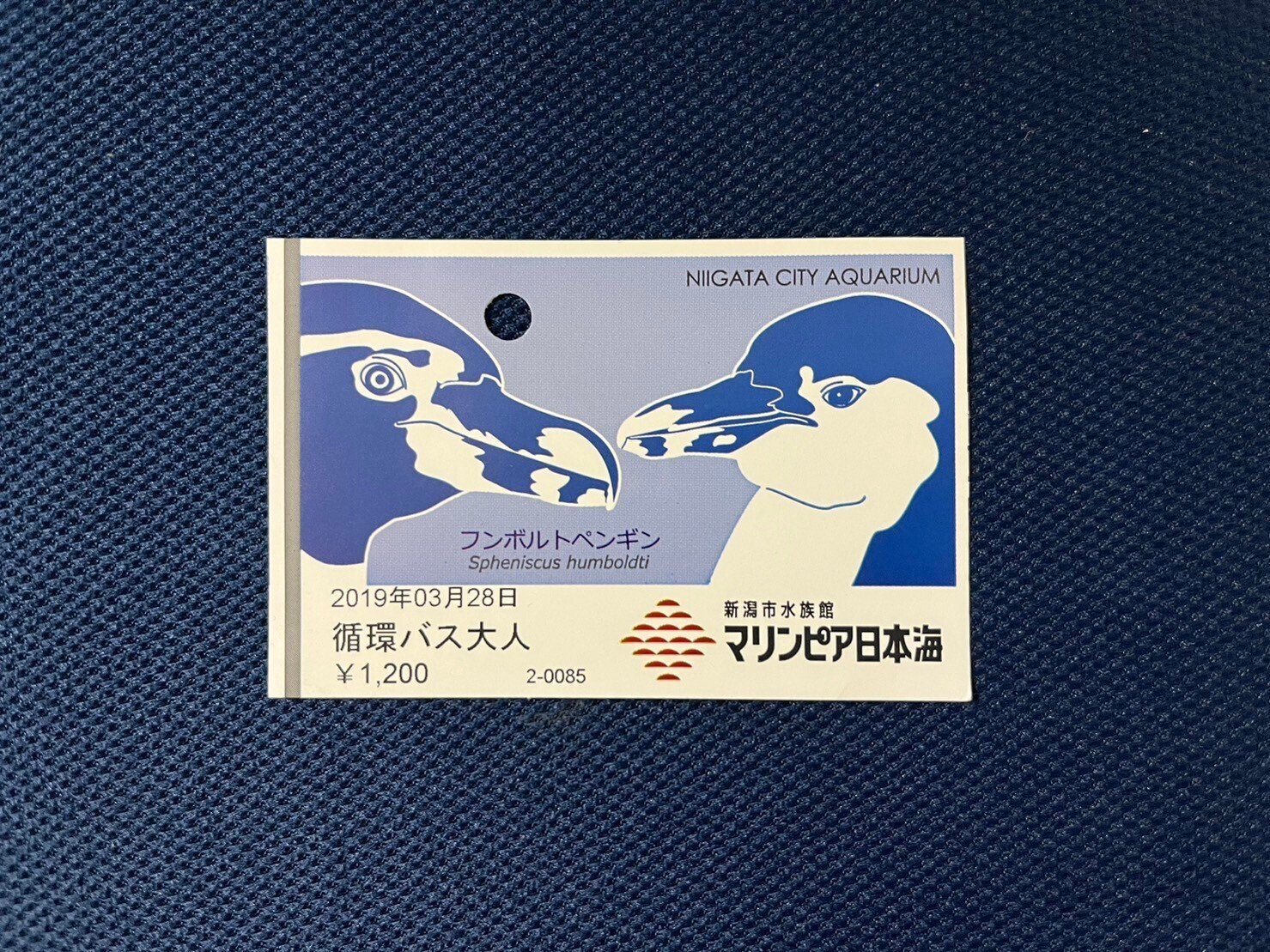水族館4☆新潟★マリンピア日本海9☆ペンギン★記念メダル☆茶平工業 水族館4☆新潟☆マリンピア日本海9☆ペンギン☆記念メダル☆茶平工業