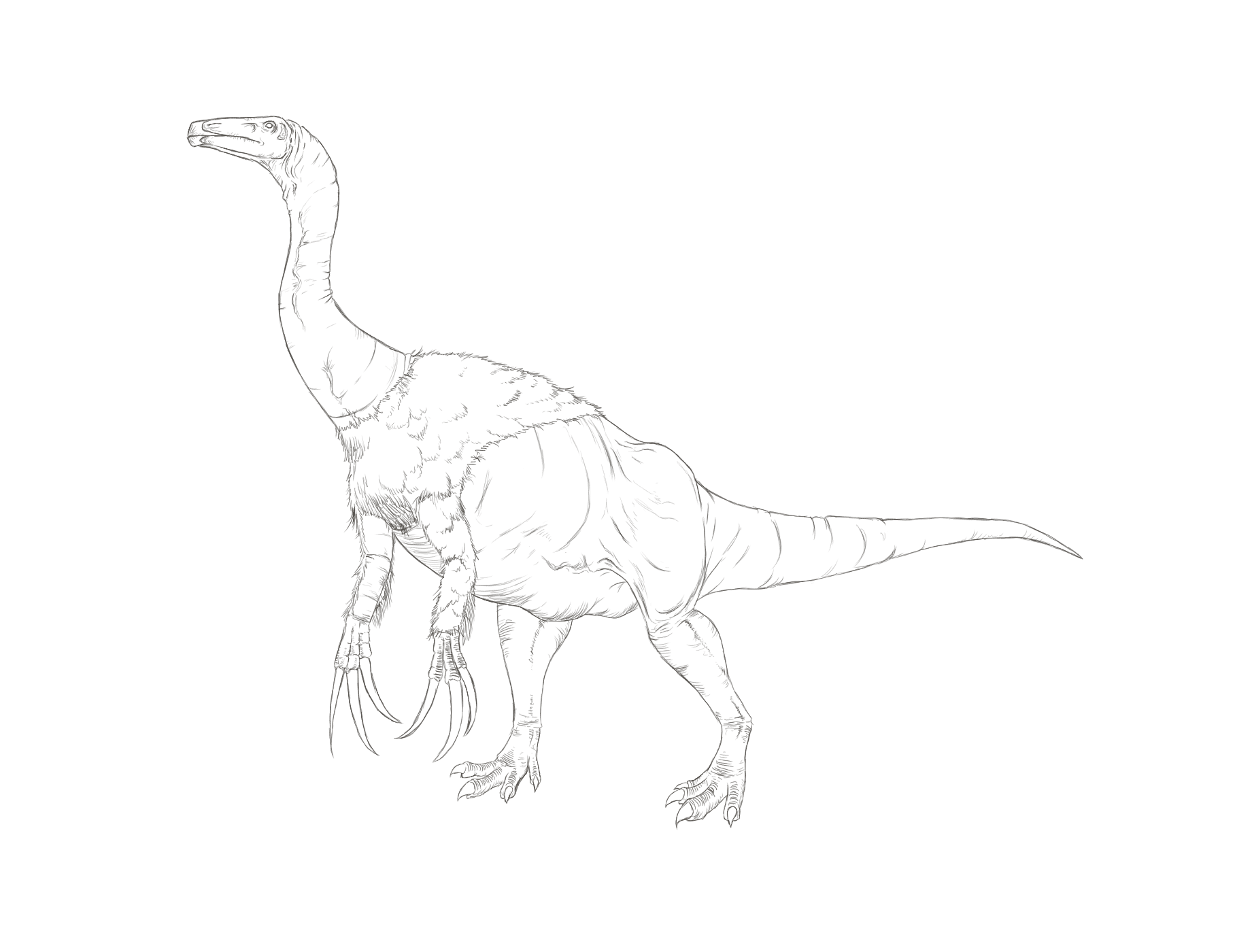 テリジノサウルスの塗り絵を作りました。｜しのSino-PaleoArt