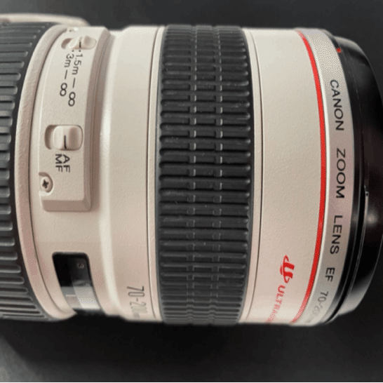 Canon EF 70-200mm f/2.8L IS USM 【故障品】 またもや故障… - 雑食カメラマンの雑感記