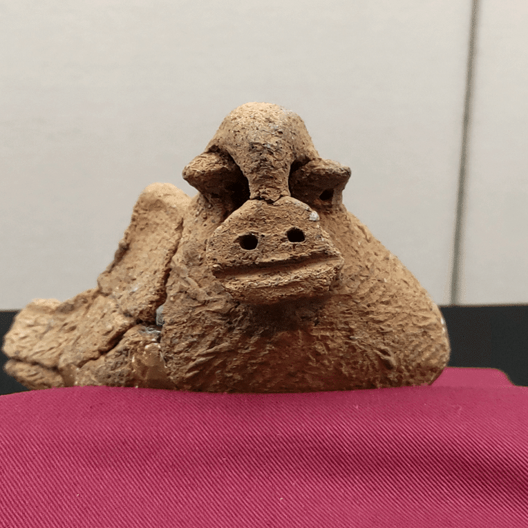 今日会いに行きたい！気になる土偶#041千葉市埋蔵文化財調査センター