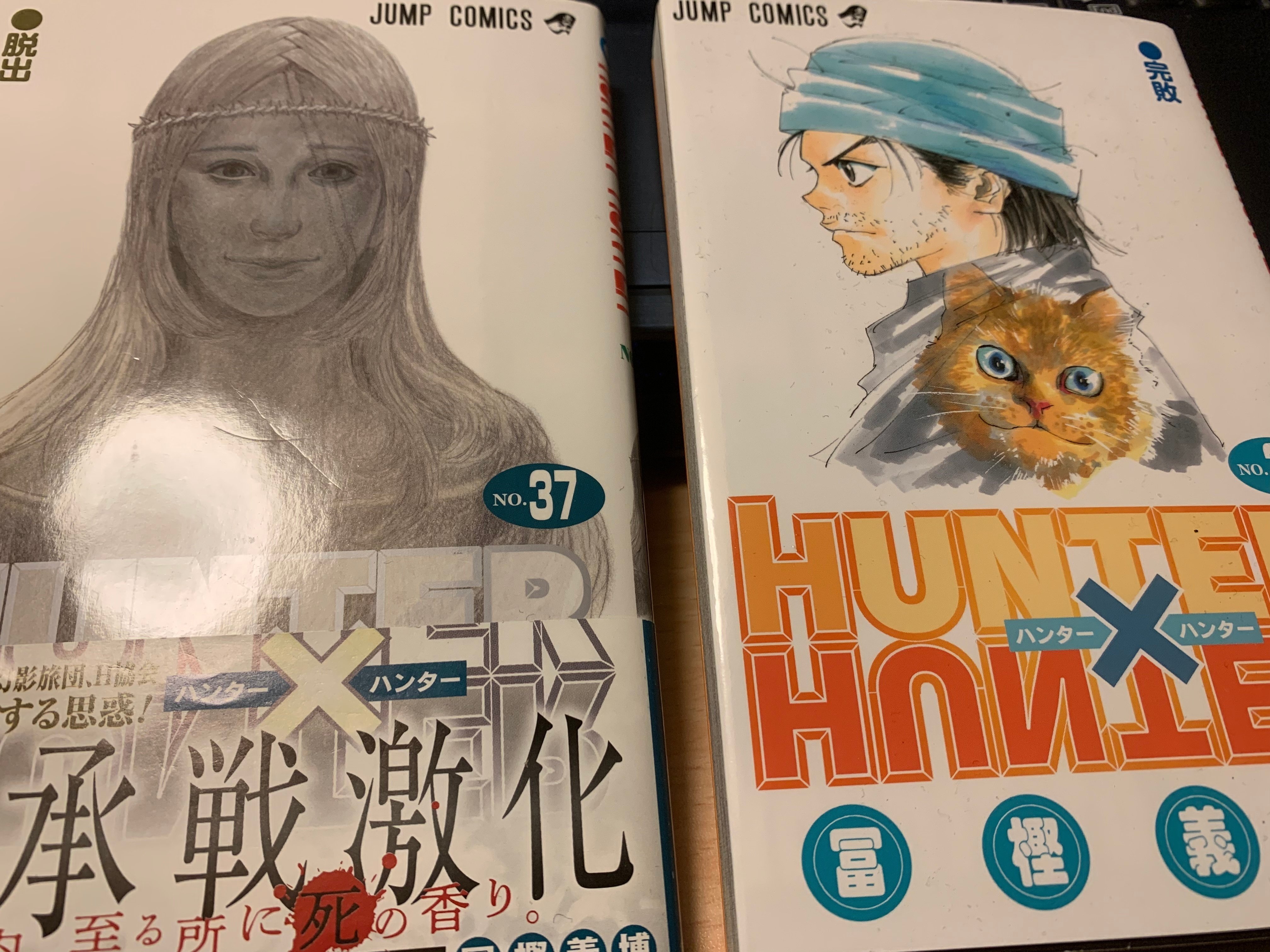 今頃HUNTERxHUNTERを読んでみた｜諸星だりあ