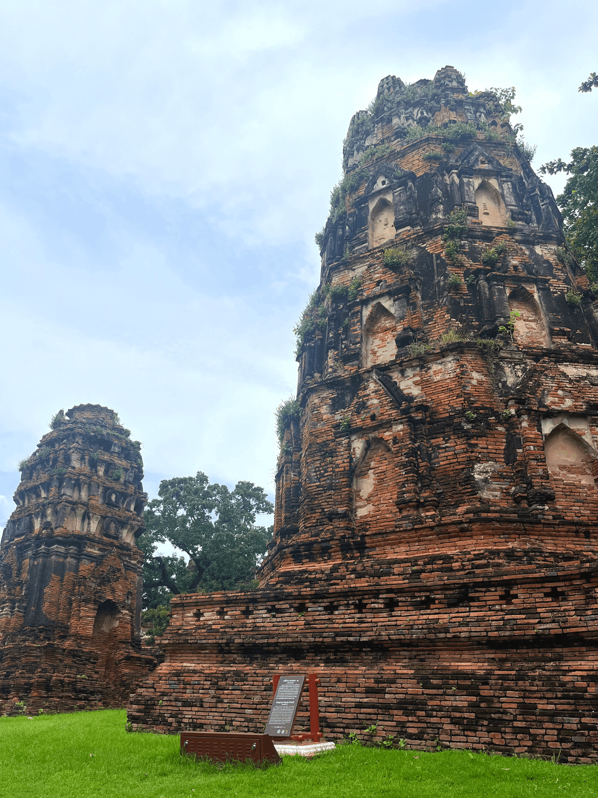 【非売品】写真集「世界遺産 アユタヤ遺跡群 ＆ スコータイ遺跡群」 世界遺産アユタヤ④木に守られた仏像の頭｜ゆかり🌍Yukari