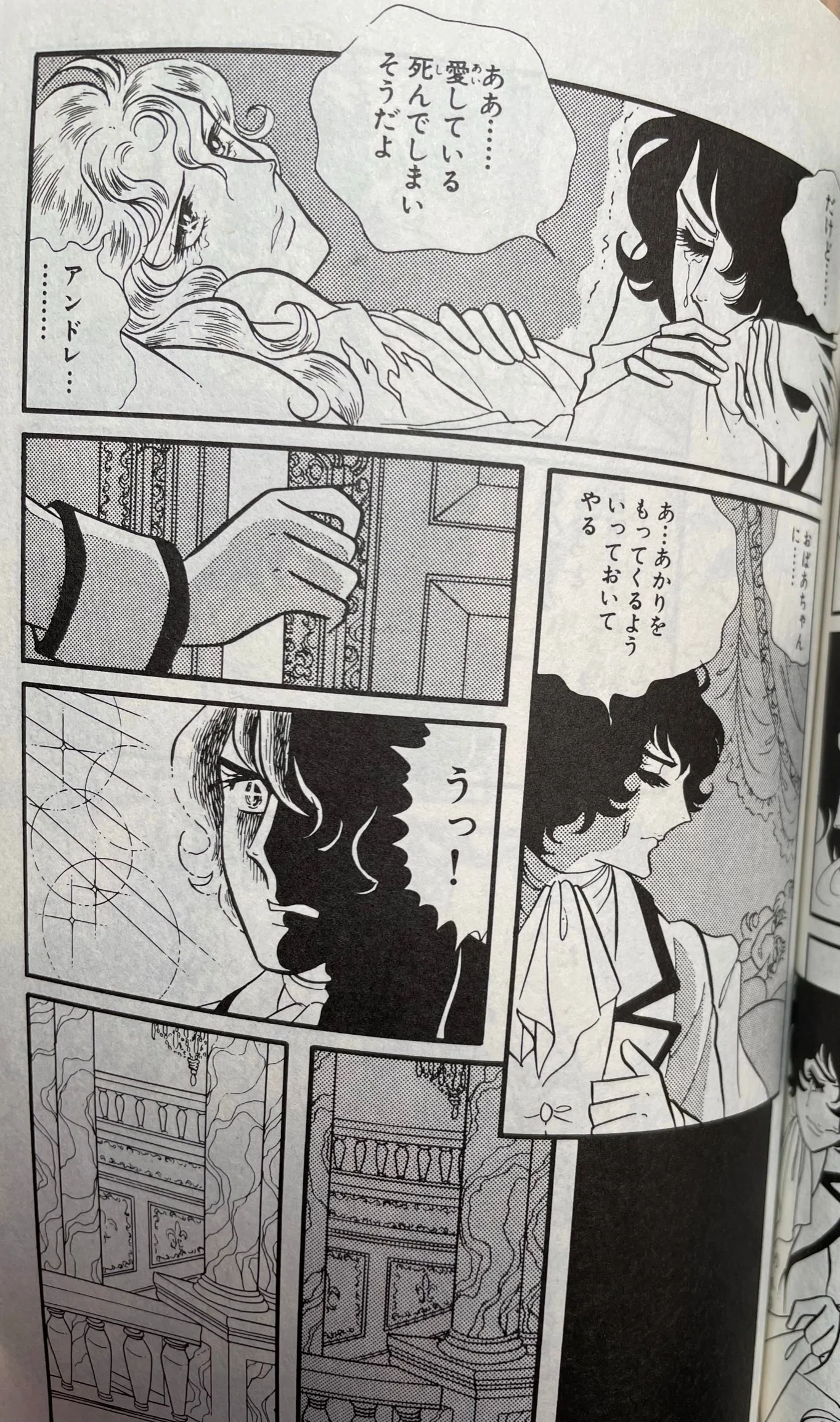 ベルサイユのばら 同人誌 アンドレ×オスカル あどけなきころ 【公式通販】