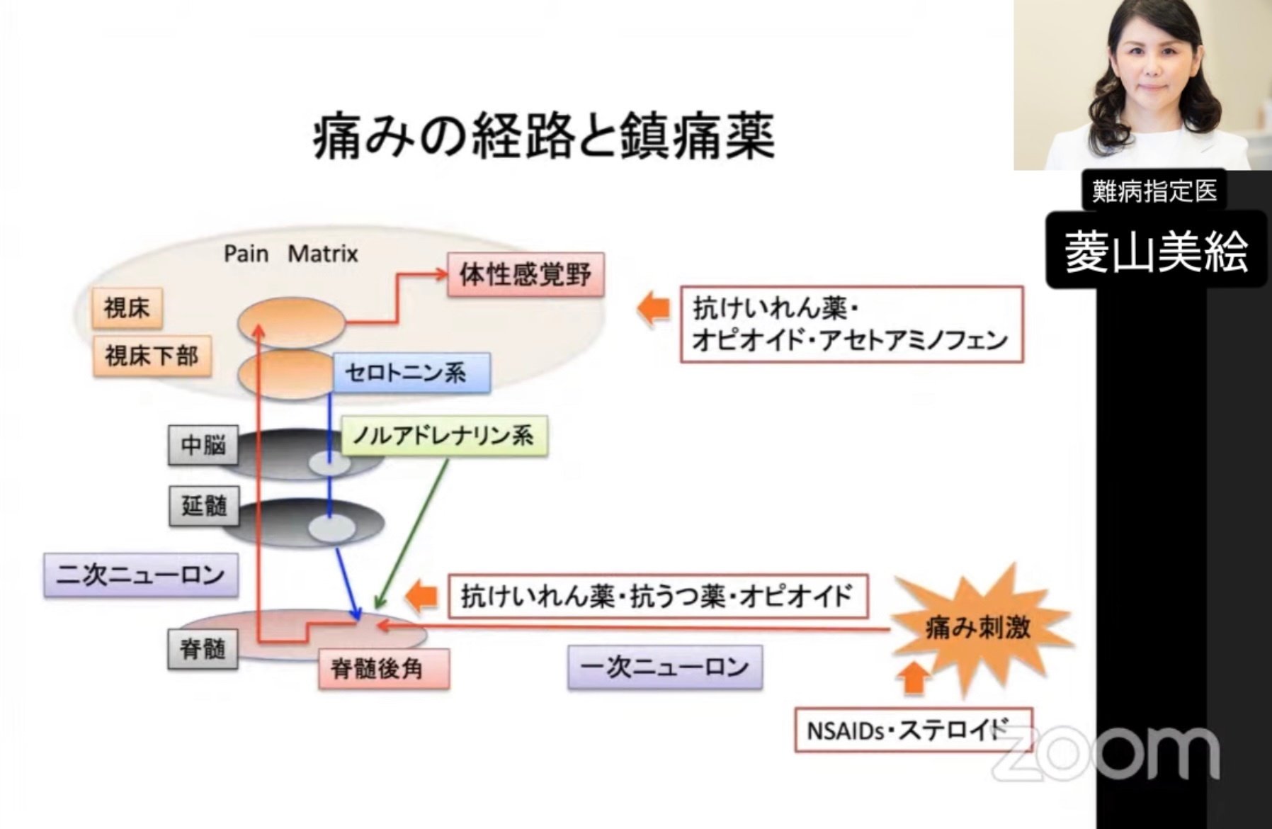線維筋痛症診療ガイドライン2017 | 一般社団法人 日本線維筋痛症