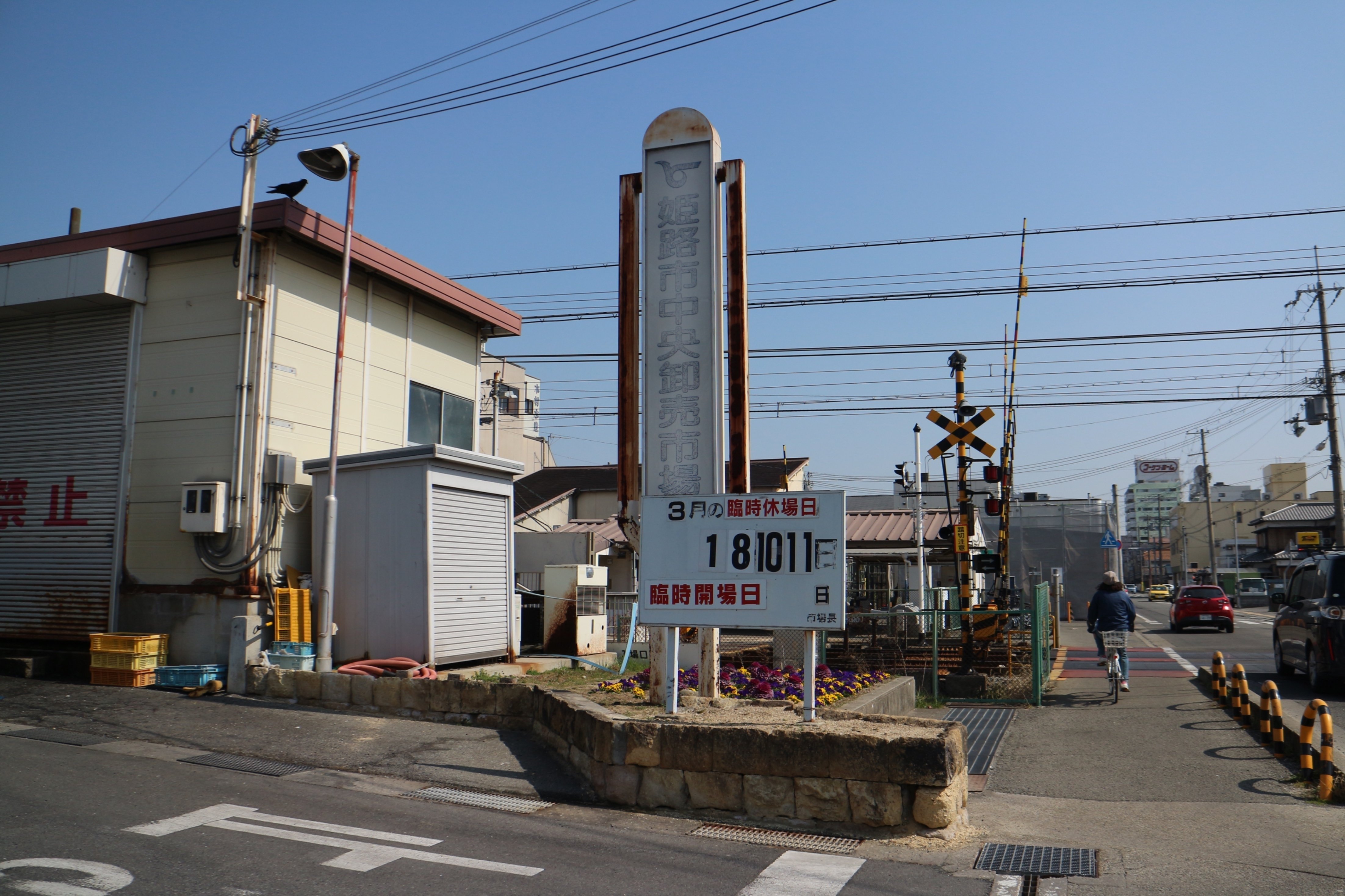 山陽電車】姫路市中央卸売市場と新竹三楽食堂のまぐろ丼|垂水の止利 山陽電車】姫路市中央卸売市場と新竹三楽食堂のまぐろ丼|垂水の止利