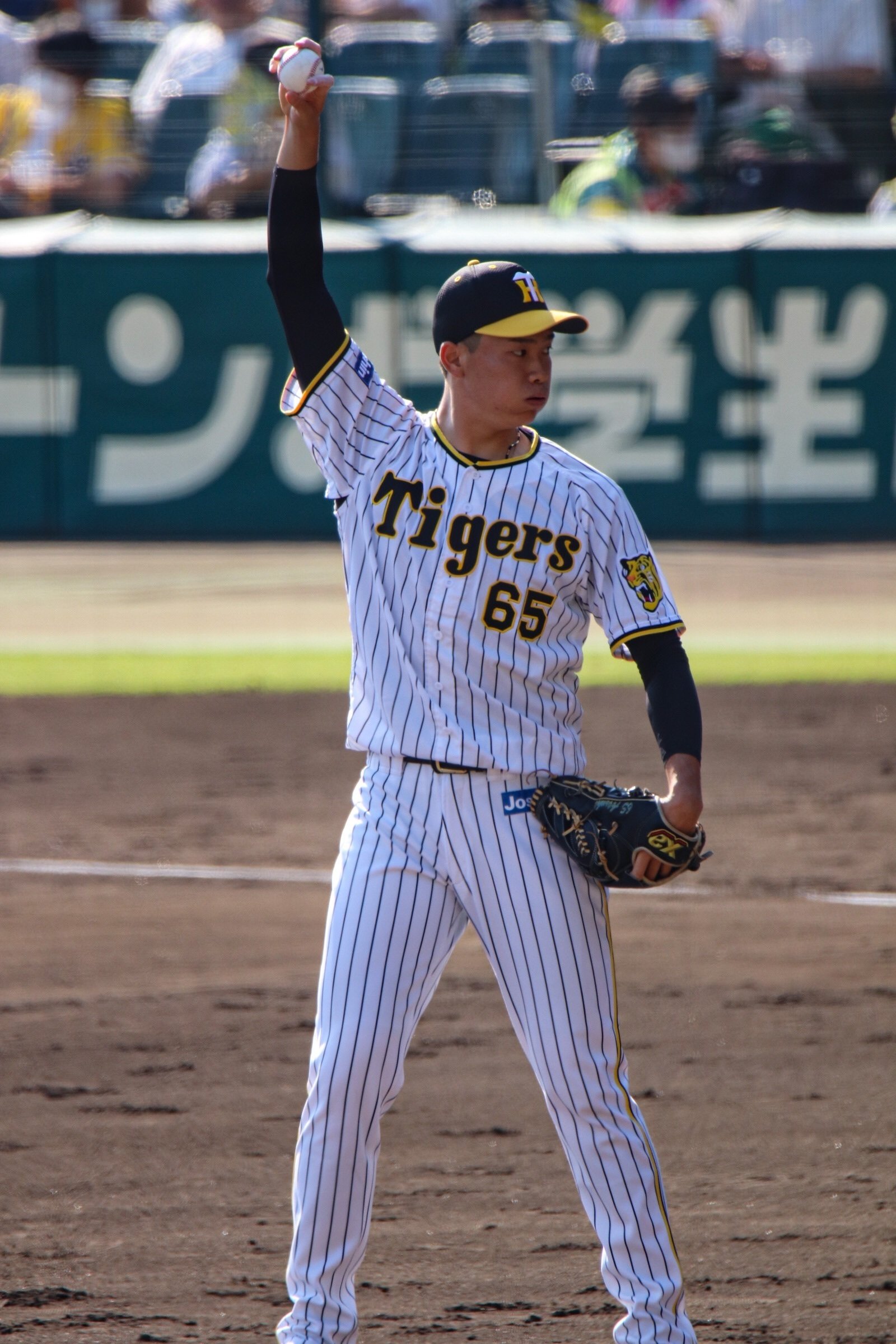 独立リーグの希望の星〜阪神タイガース湯浅京己投手を応援しよう