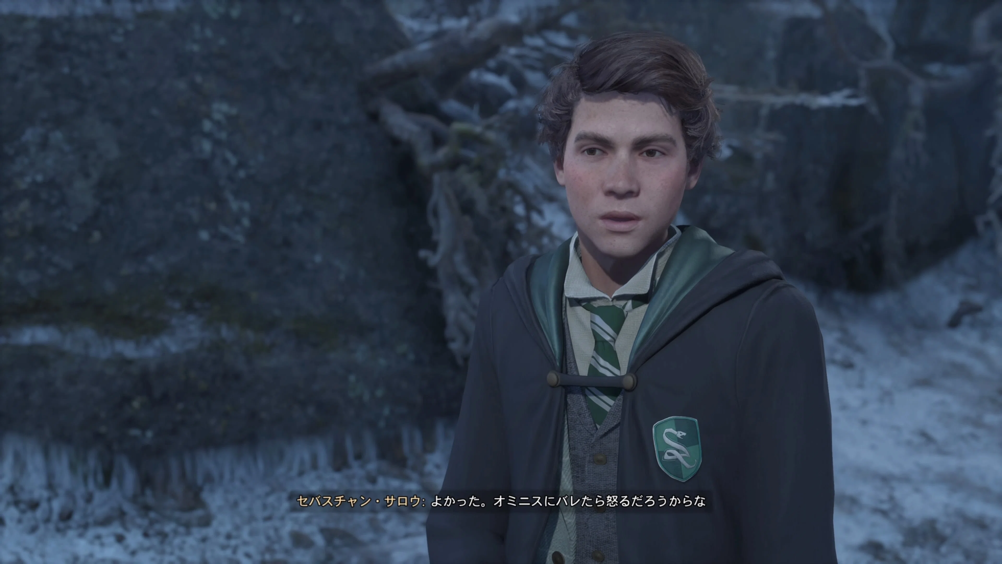 ハリーに想いを繋ぐ旅 26日目 『YuzuJinのHOGWARTS LEGACY 日記