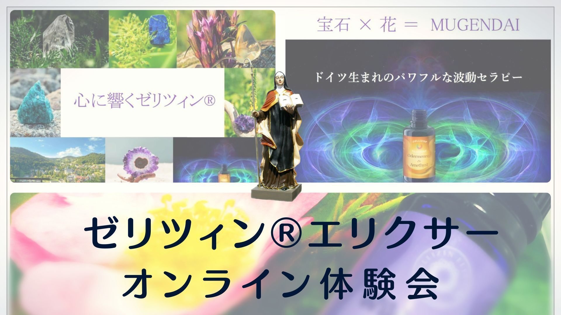 アウトレット ゼリツィンエリクサー 初心者スターターセット