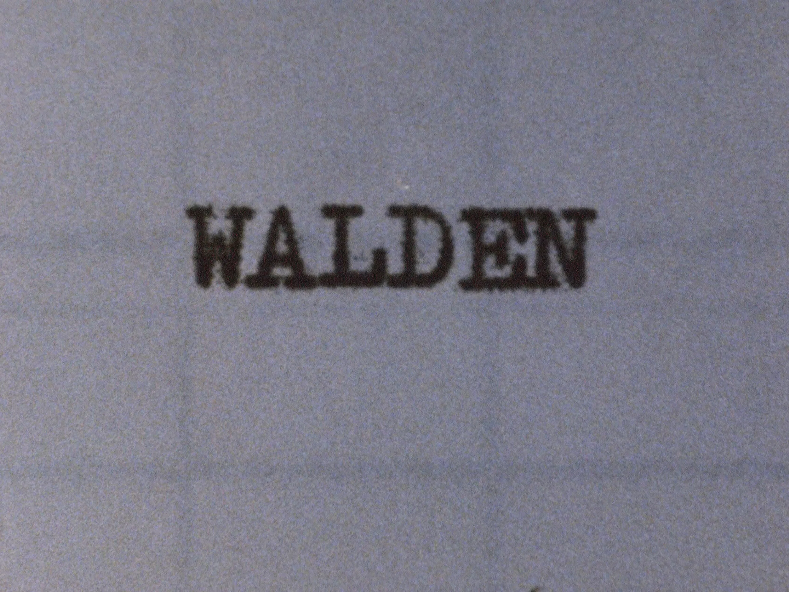 映画】ウォールデン Walden/ジョナス・メカス｜marr / alma booksの中の人