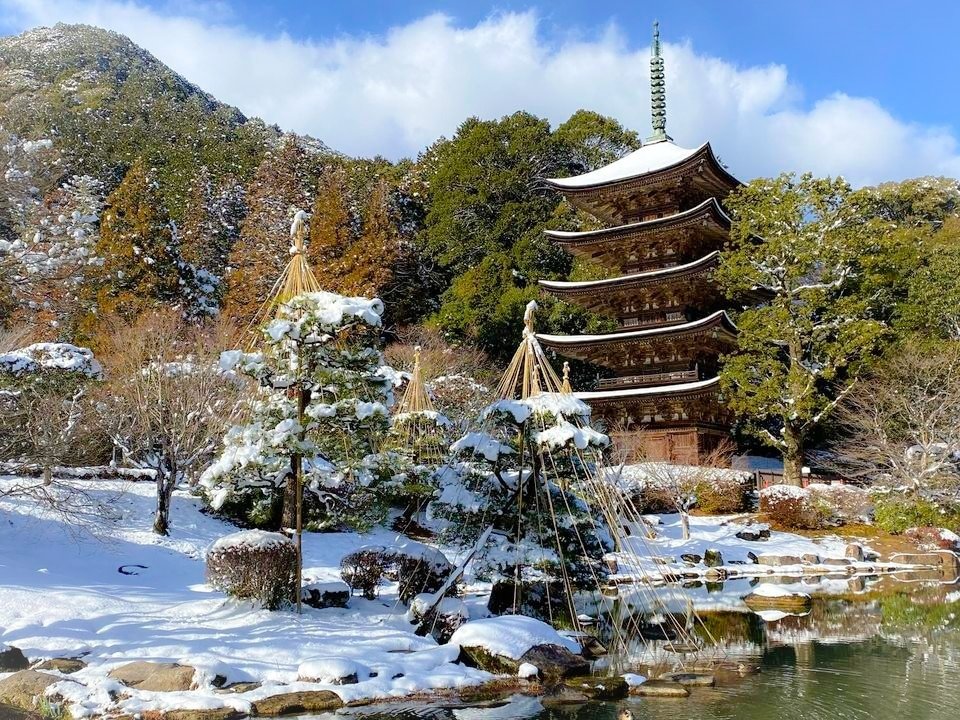 山口市の春の瑠璃光寺と…ねこねこ日本史山口版【5月の連休まで