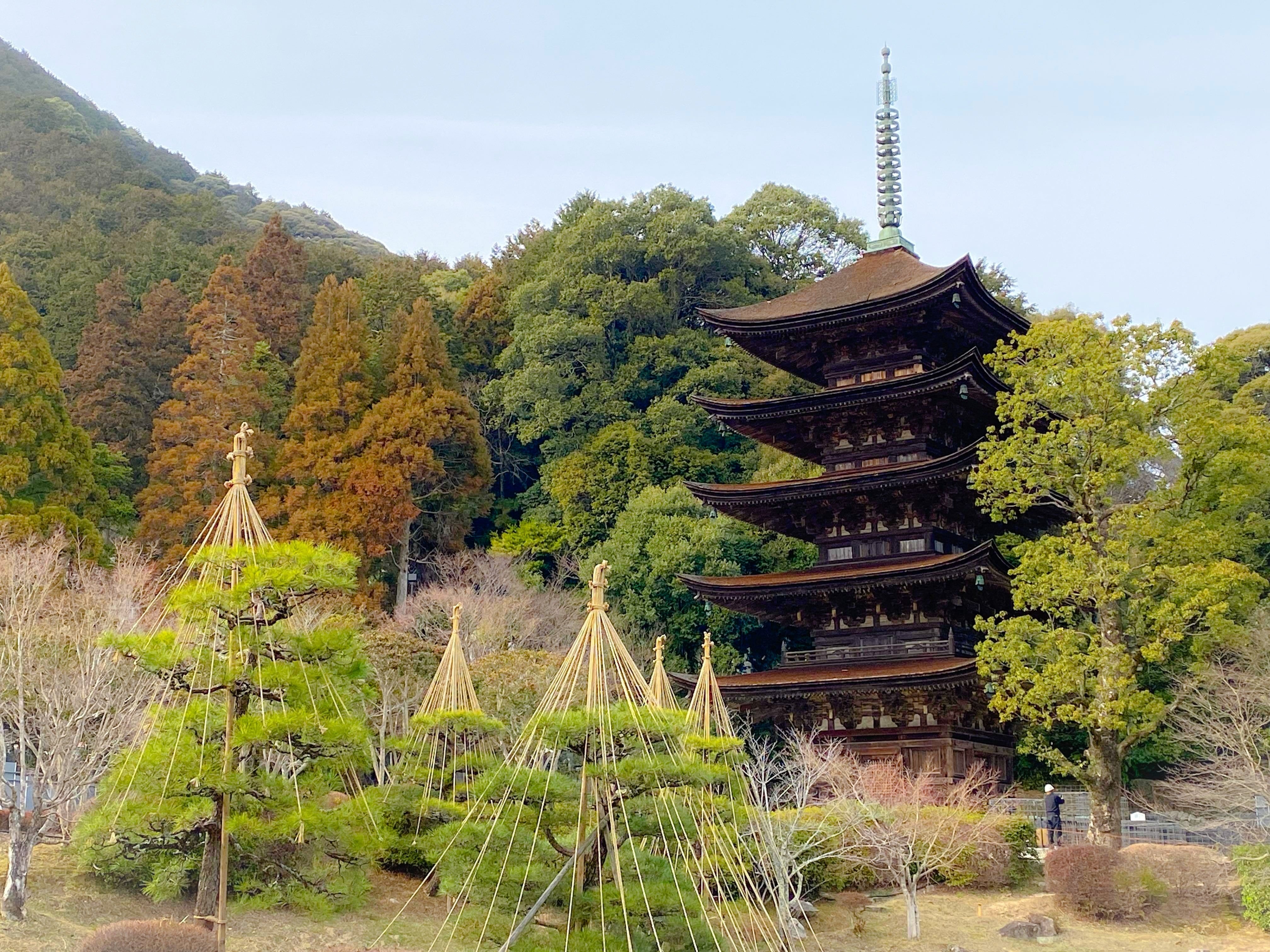 山口市の春の瑠璃光寺と…ねこねこ日本史山口版【5月の連休まで