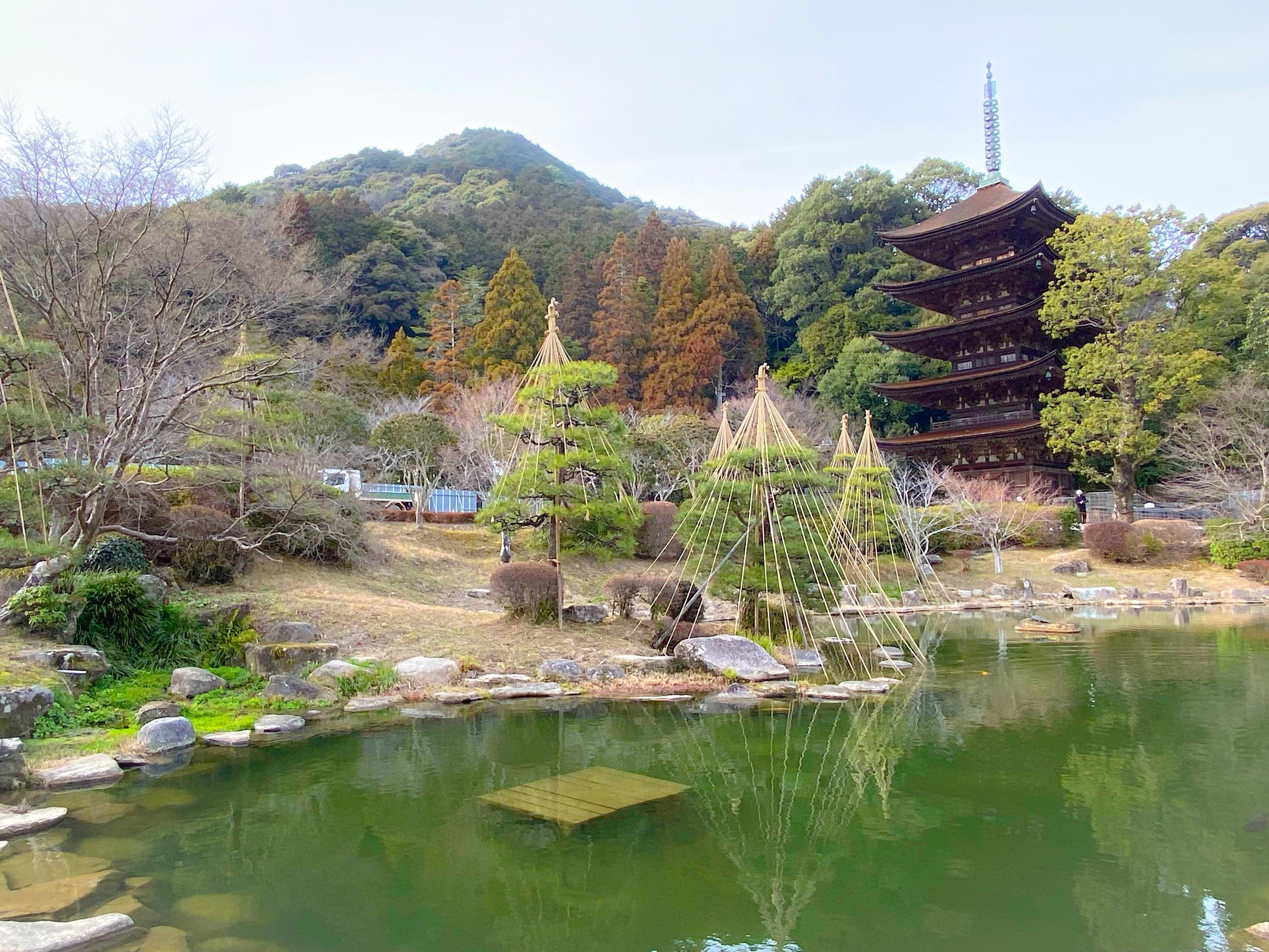 山口市の春の瑠璃光寺と…ねこねこ日本史山口版【5月の連休まで