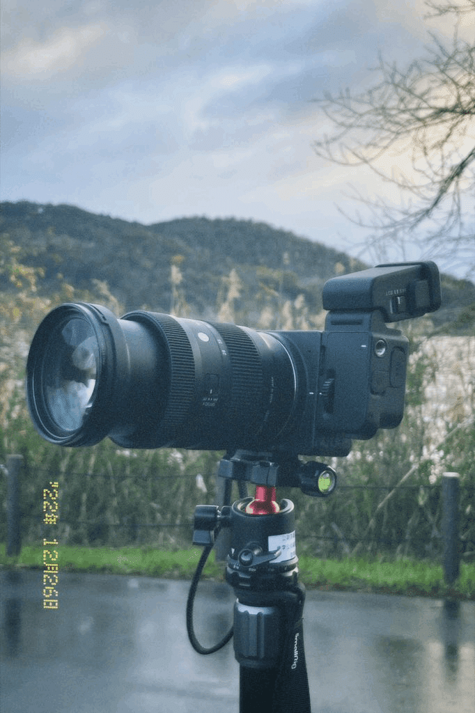 SIGMA fpと1年が経ったのでレビュー｜みわ
