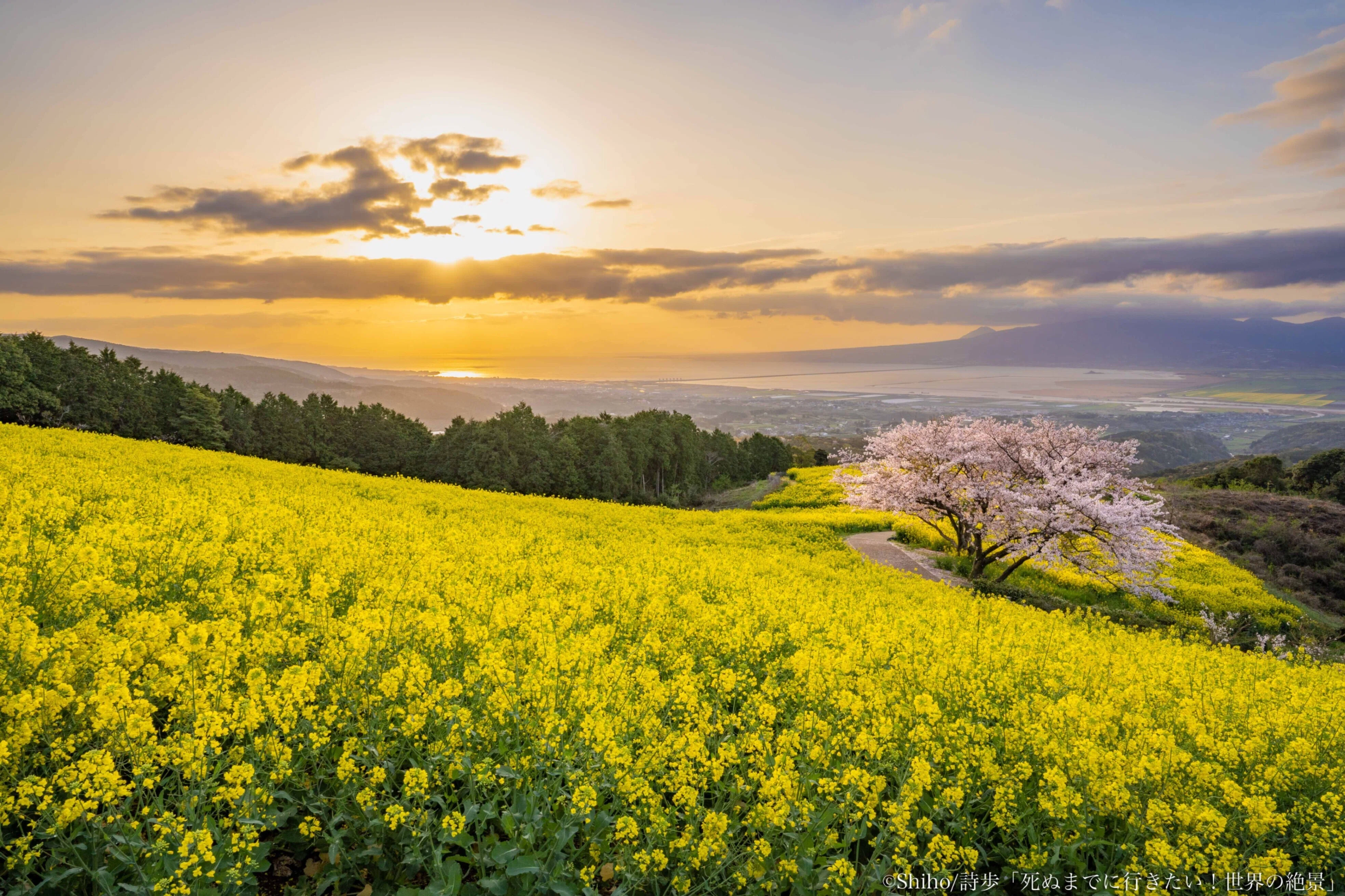 1日で4スポット！長崎の春爛漫めぐり-電車とバスで行く！日本の絶景