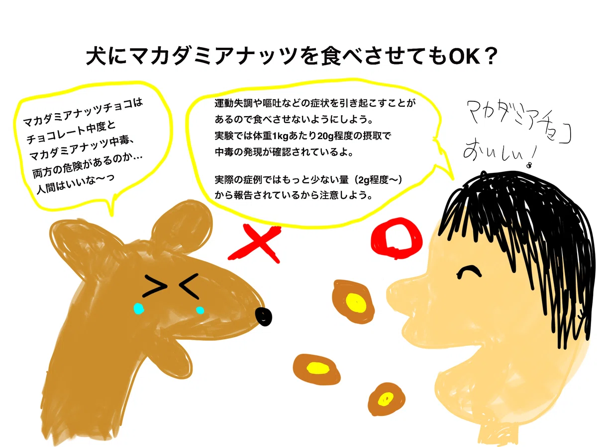 ナッツ様確認用 （ナッツアレルギーの症状は？とくに気をつけるべき 