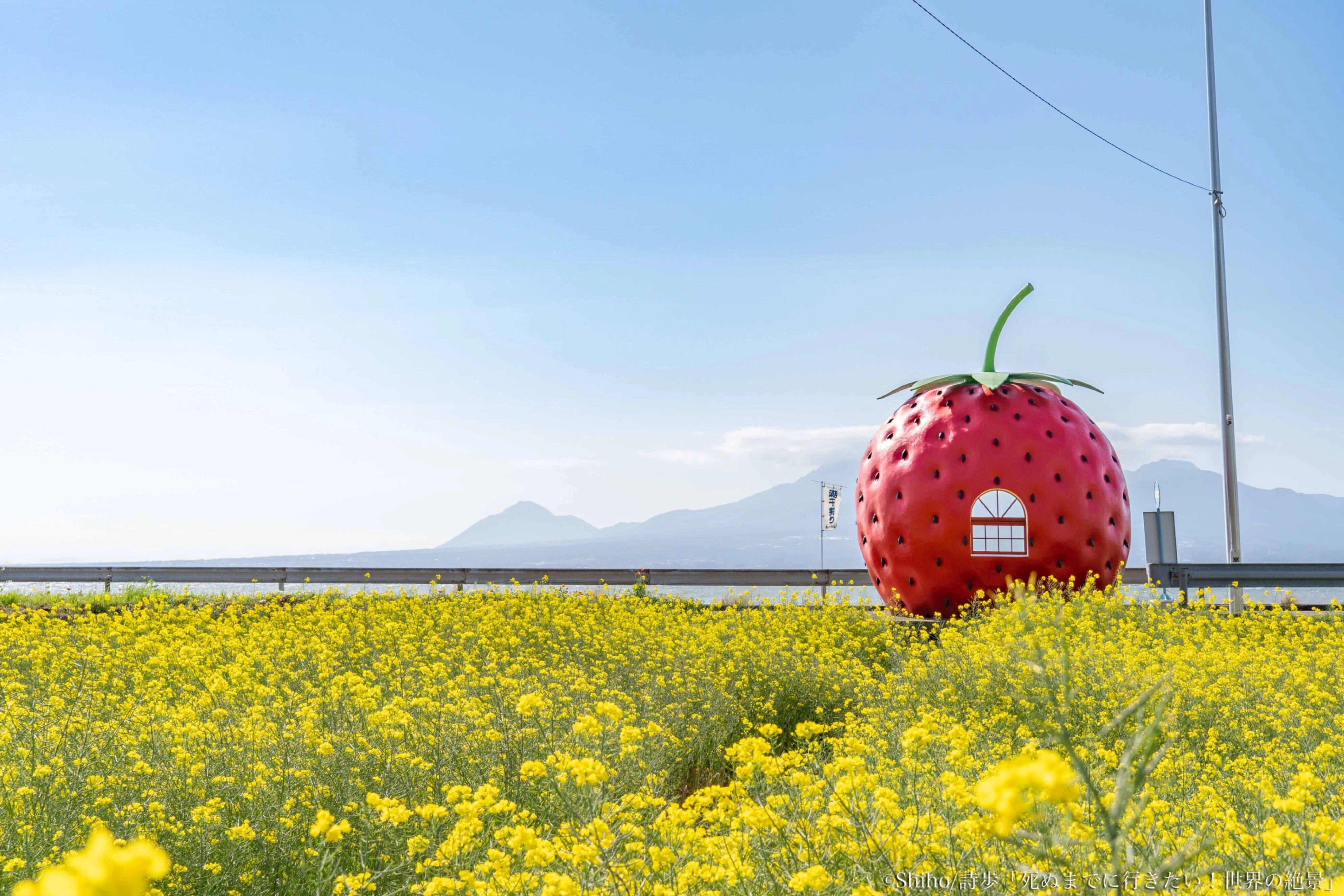 かわいい山崎、白州 1日で4スポット！長崎の春爛漫めぐり-電車とバスで行く！日本の絶景